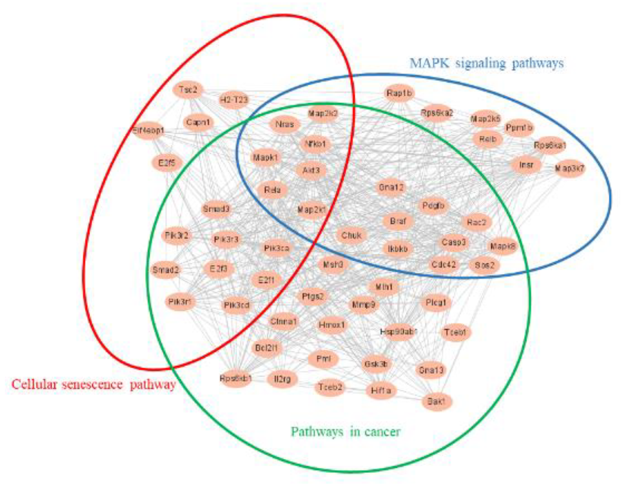 Foods 11 03607 g007 Foods 11 03607 g007