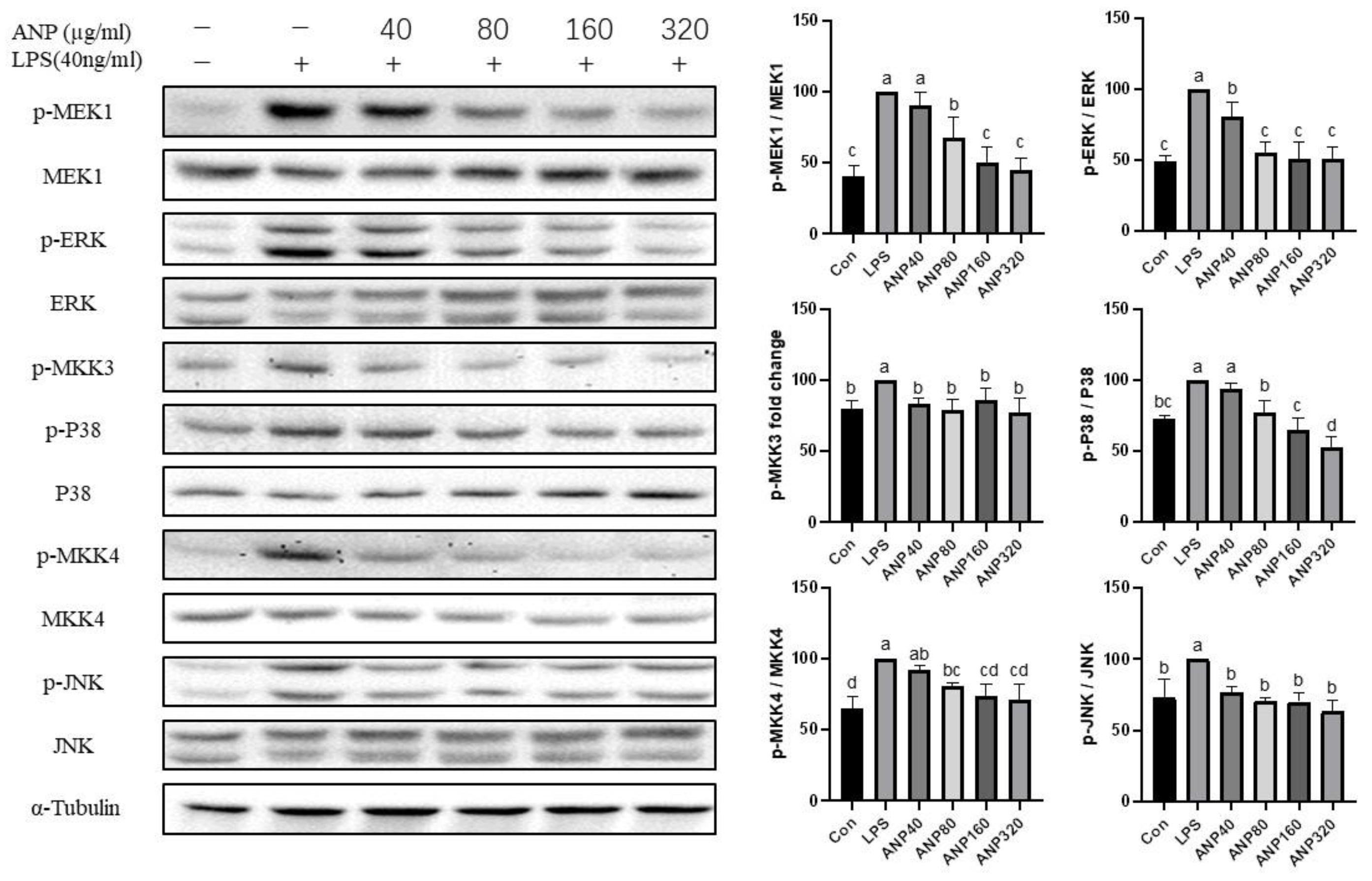 Foods 11 03607 g008 Foods 11 03607 g008