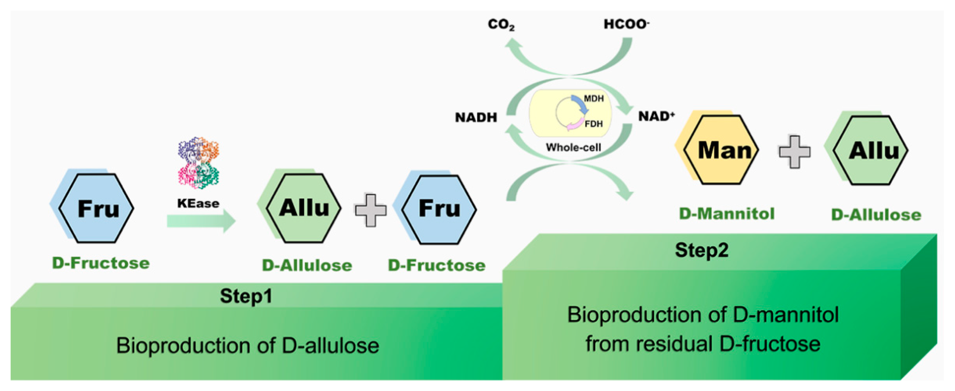 Foods 11 03613 g001 Foods 11 03613 g001