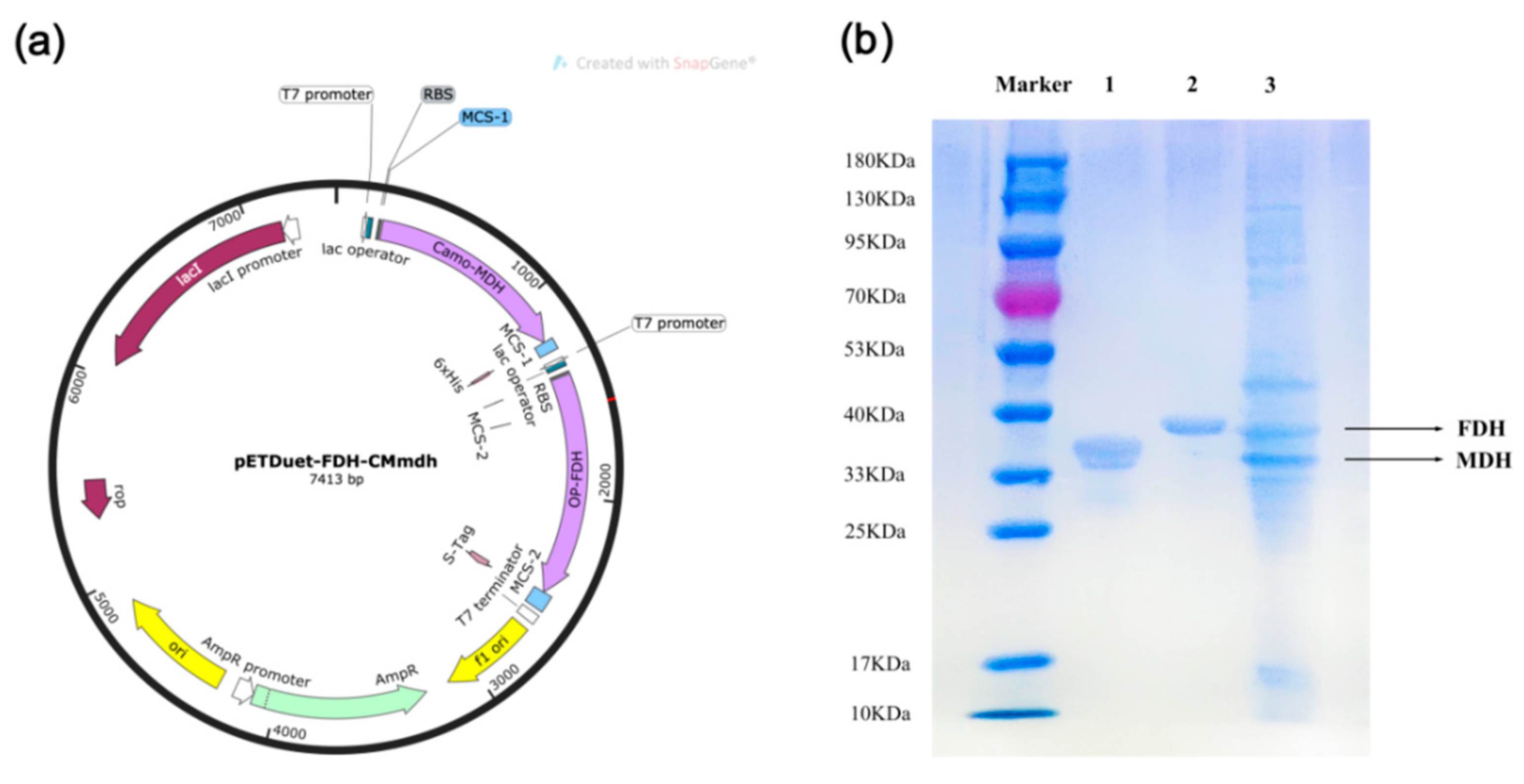 Foods 11 03613 g002 Foods 11 03613 g002