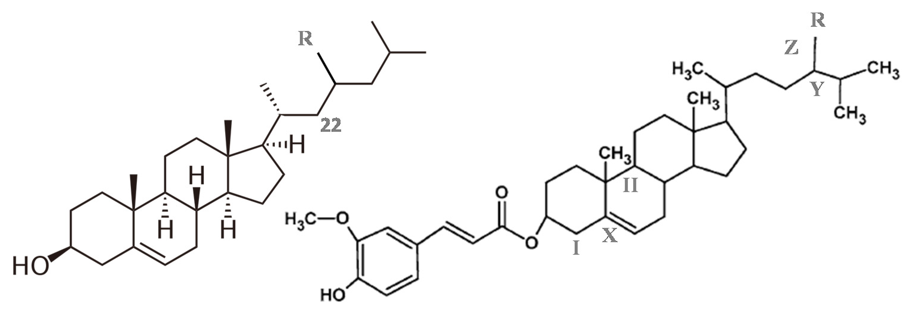 Foods 11 03629 g001 Foods 11 03629 g001