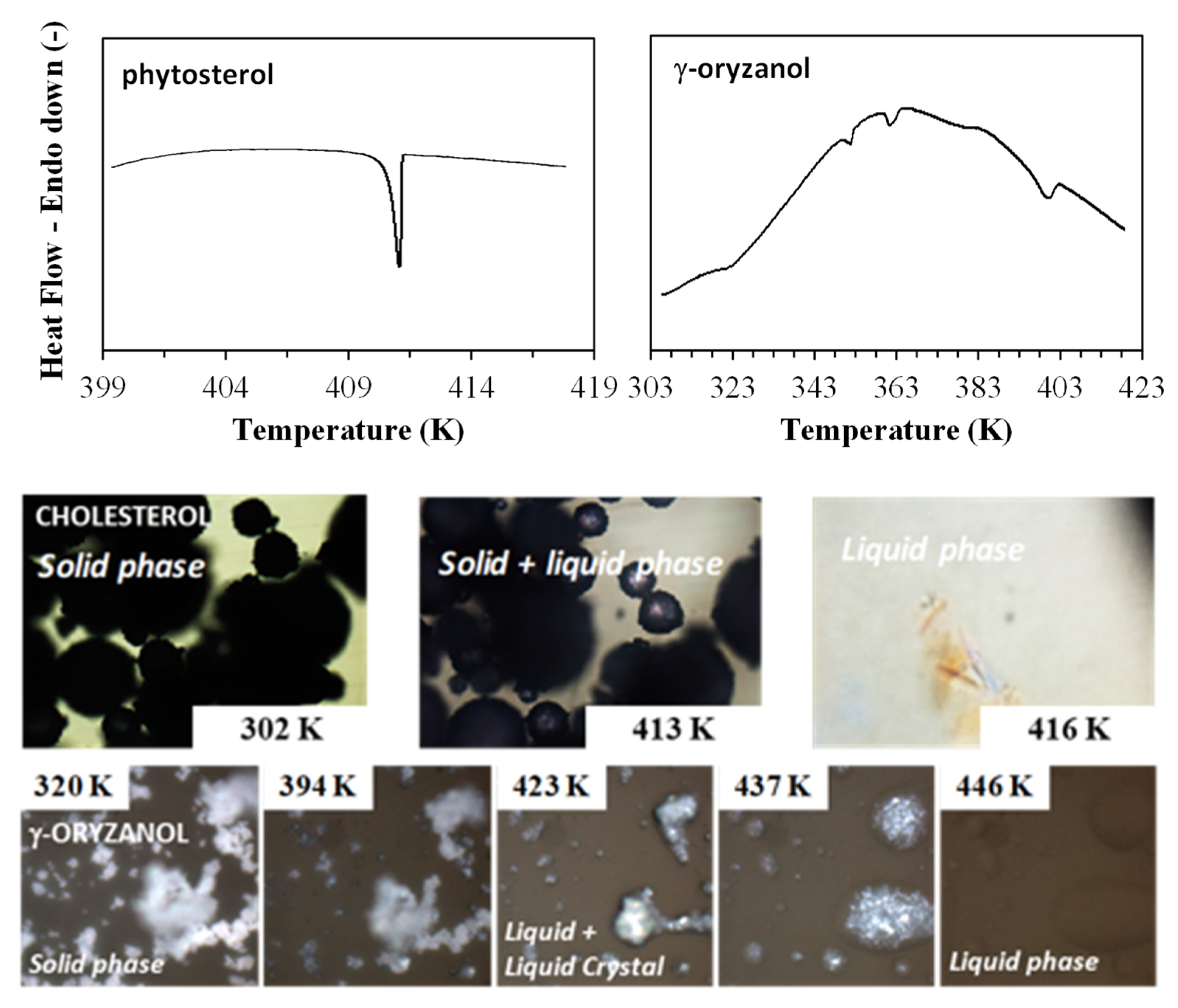 Foods 11 03629 g002 Foods 11 03629 g002