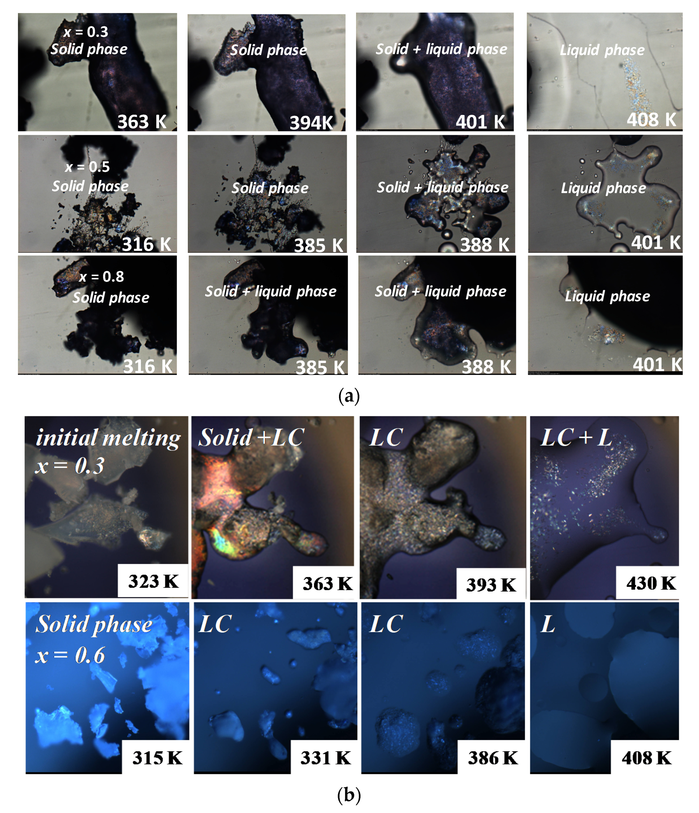 Foods 11 03629 g004 Foods 11 03629 g004