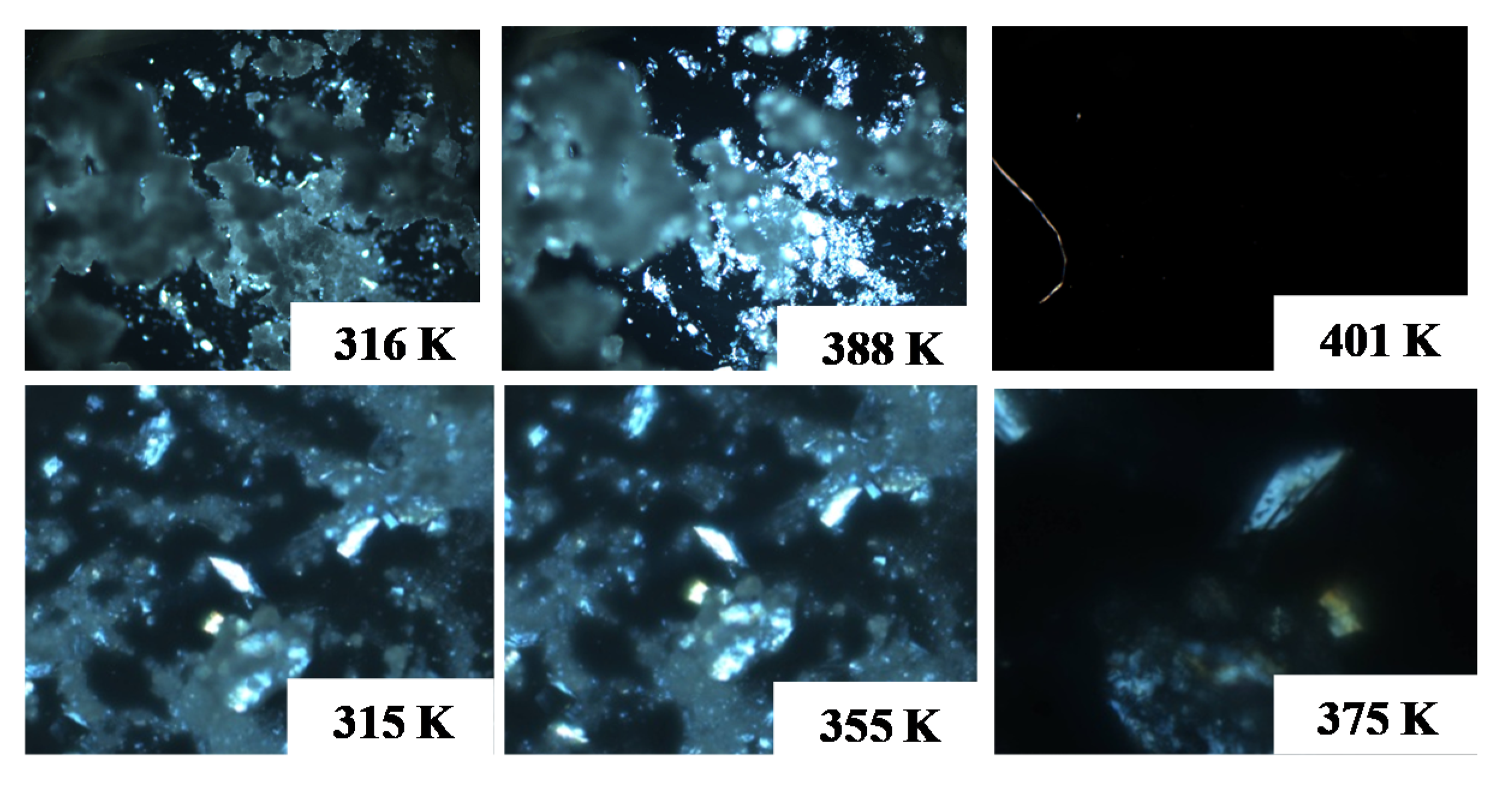 Foods 11 03629 g007 Foods 11 03629 g007