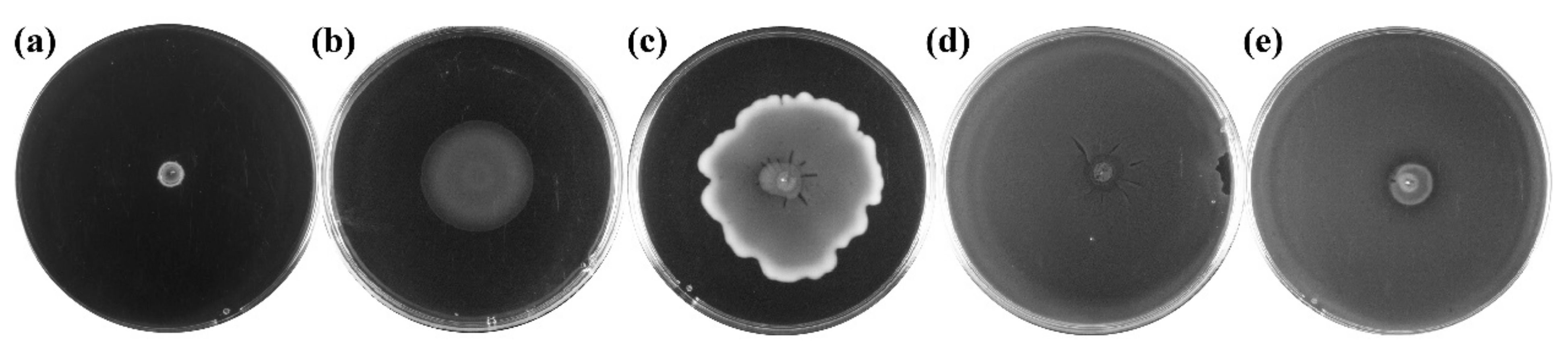 Foods 11 03639 g002 Foods 11 03639 g002