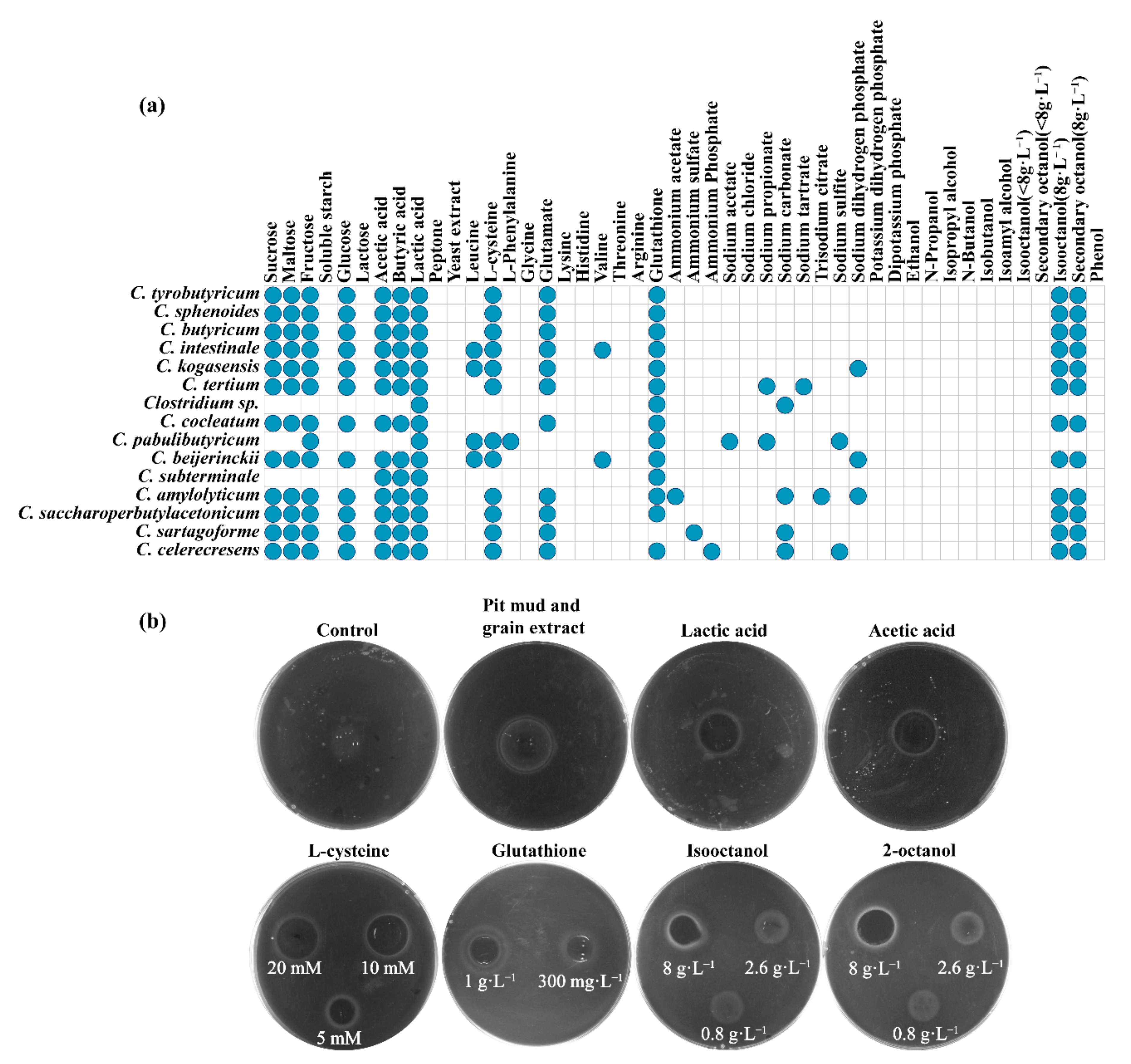 Foods 11 03639 g003 Foods 11 03639 g003