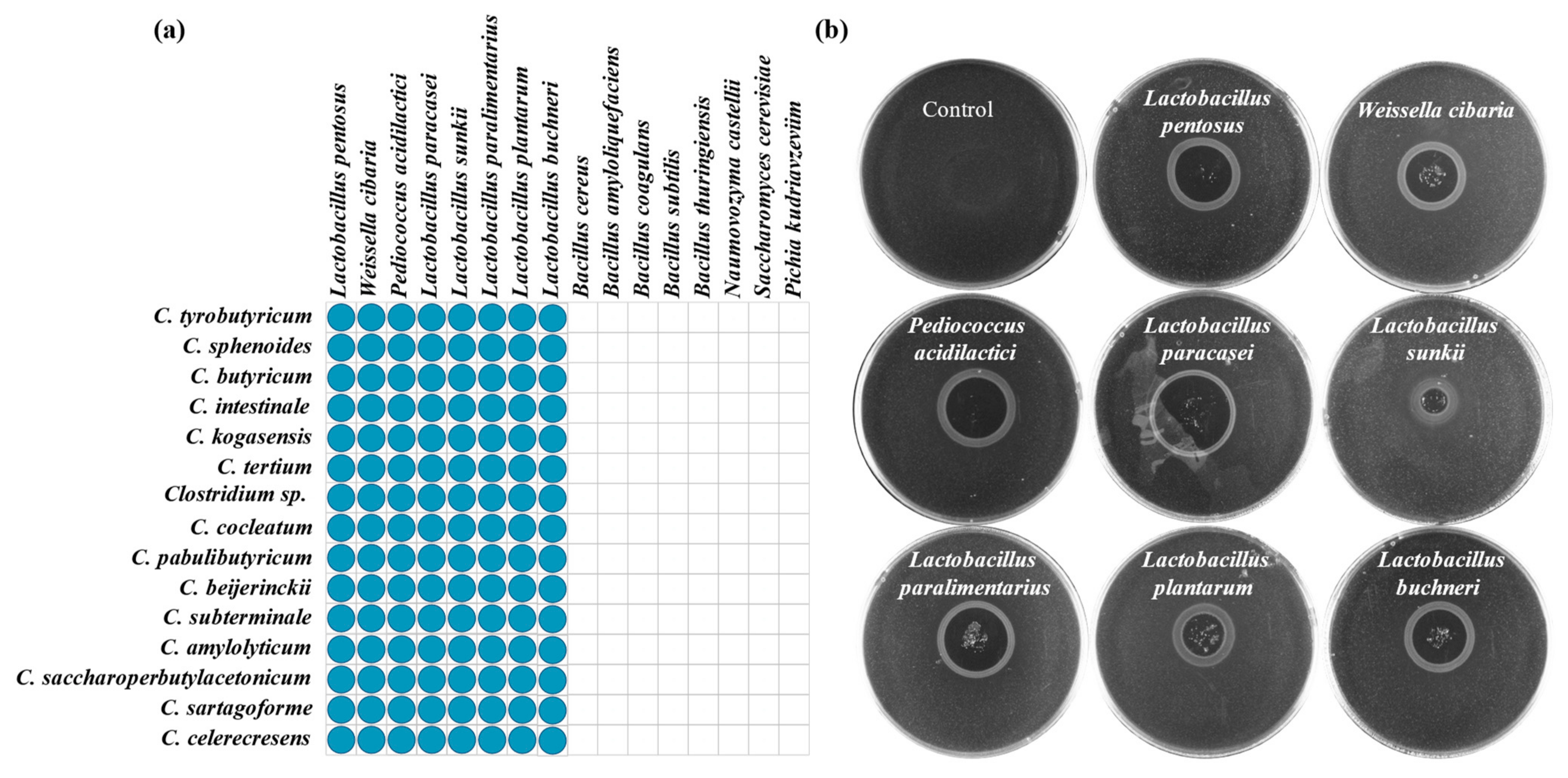 Foods 11 03639 g004 Foods 11 03639 g004
