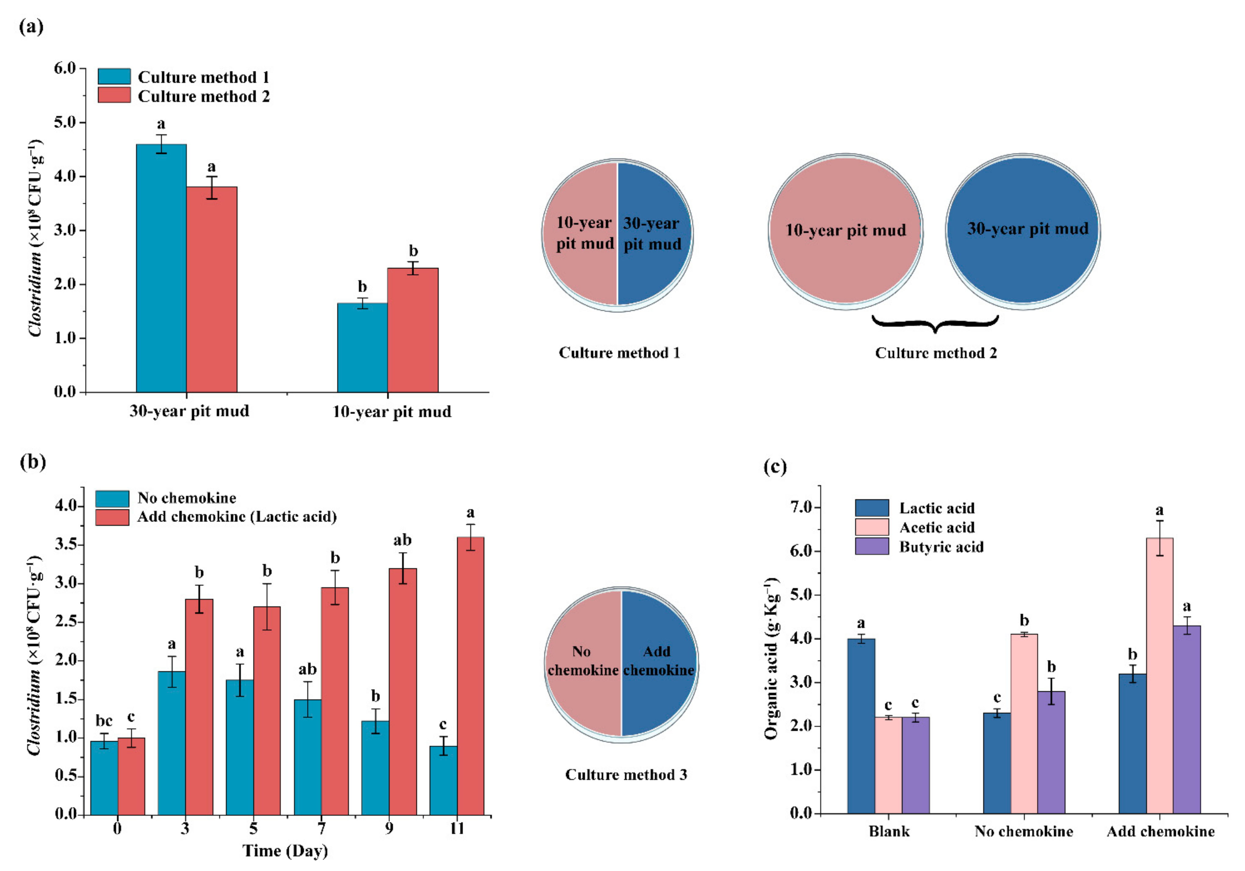 Foods 11 03639 g005 Foods 11 03639 g005