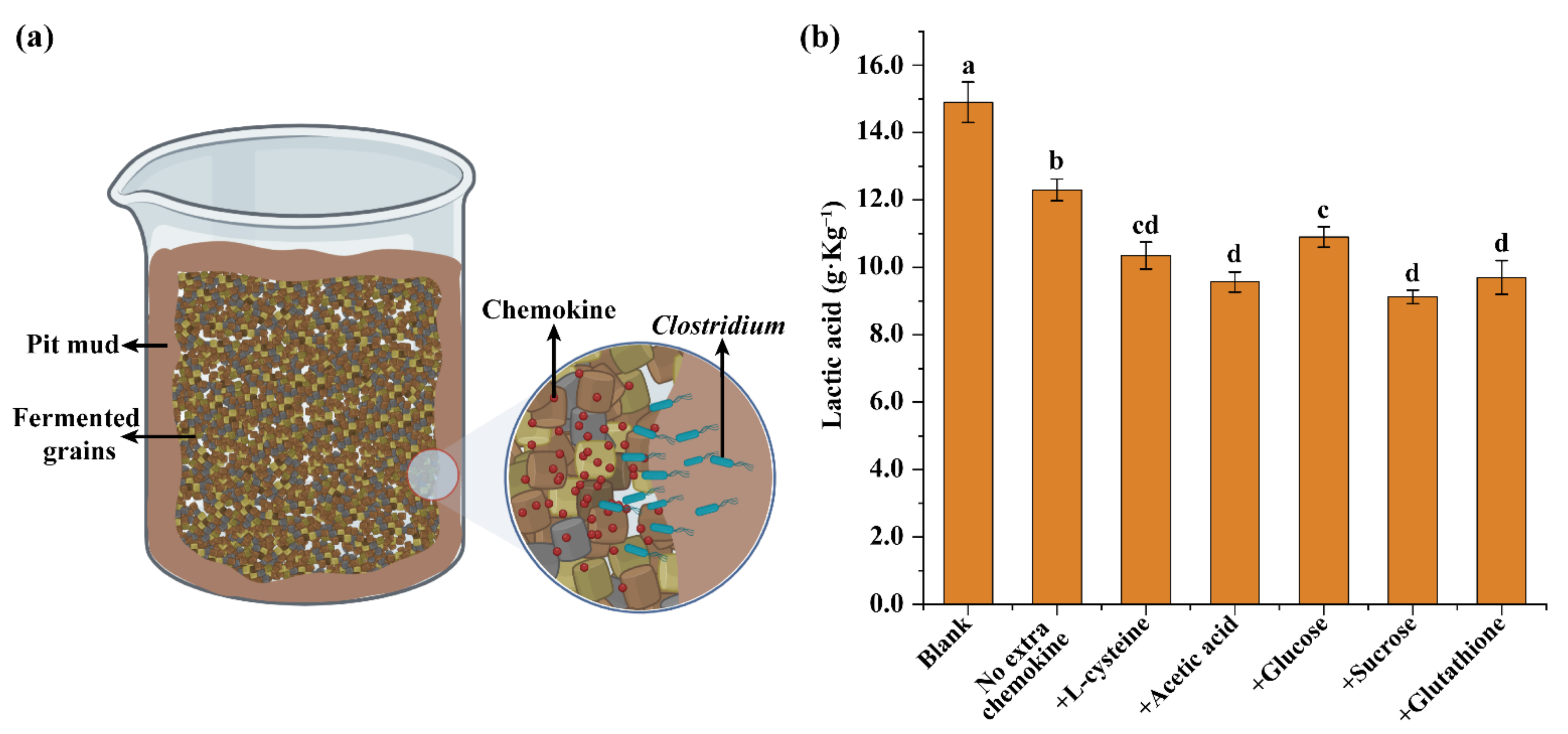 Foods 11 03639 g006 Foods 11 03639 g006