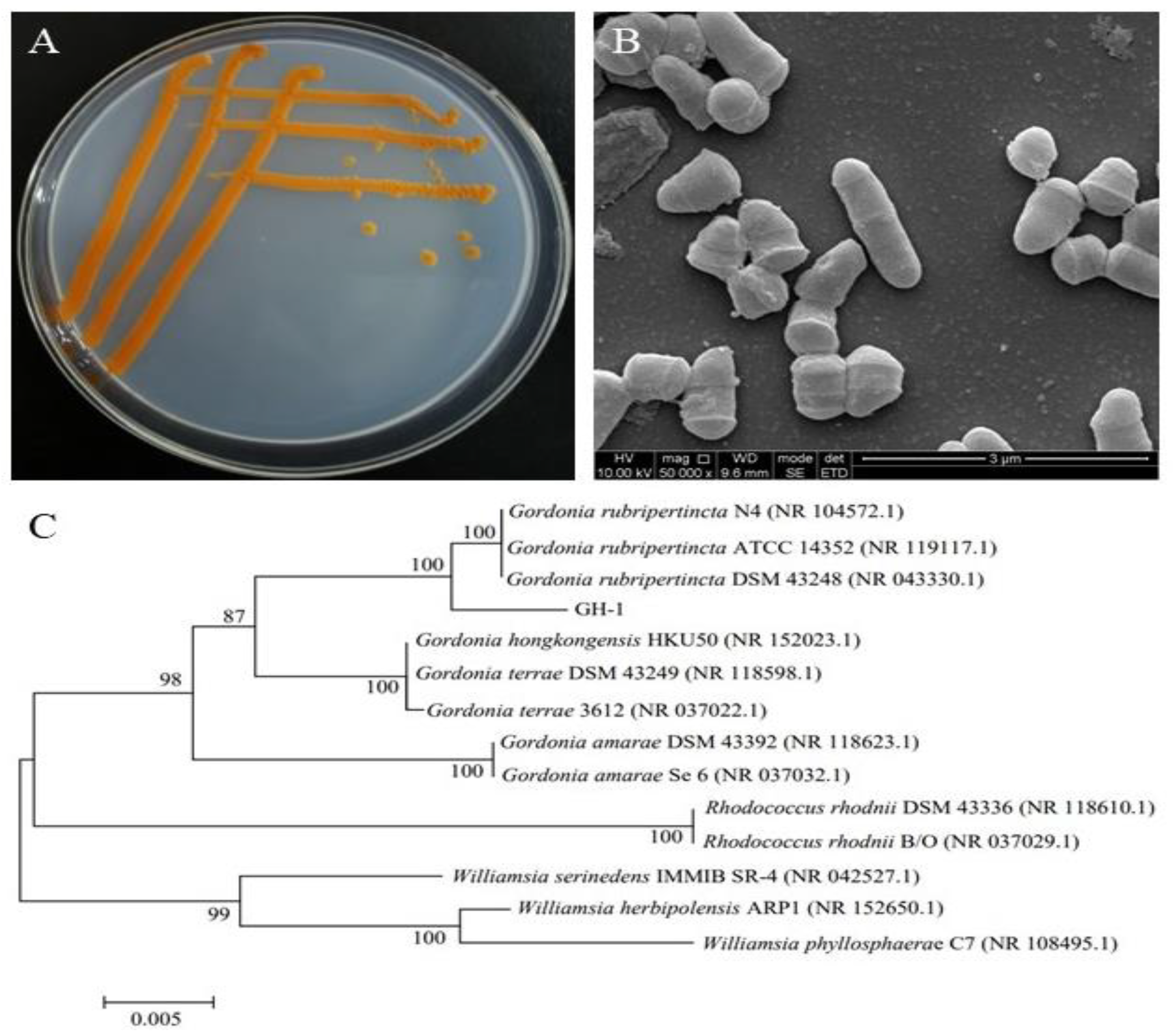 Foods 11 03649 g001 Foods 11 03649 g001