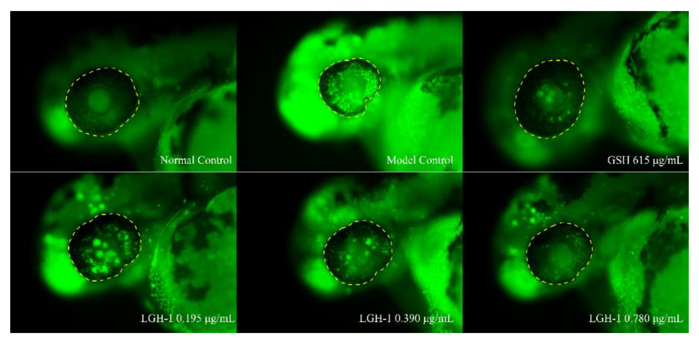 Foods 11 03649 g006 Foods 11 03649 g006