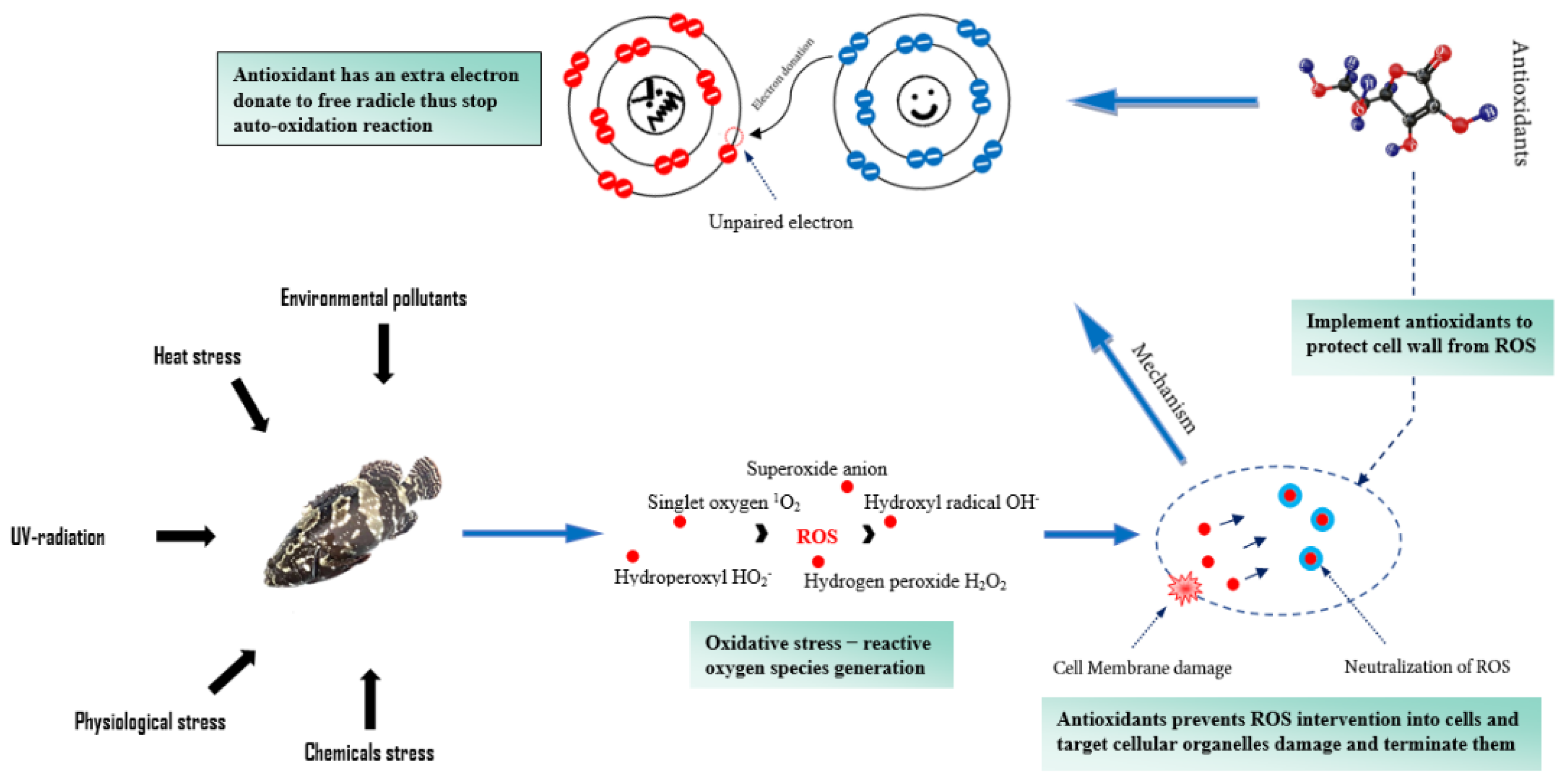 Foods 11 03669 g004 Foods 11 03669 g004