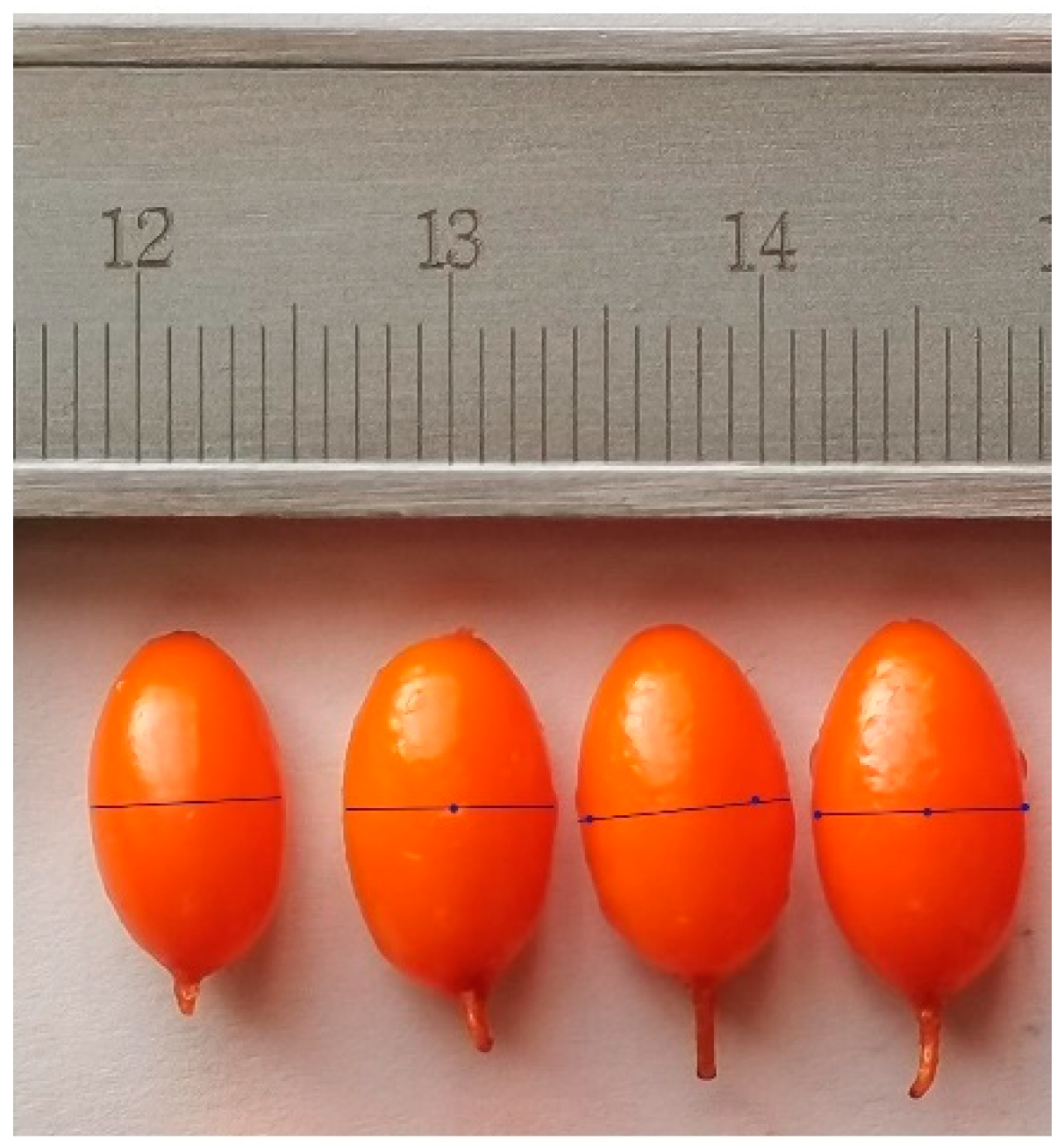 Foods 11 03675 g001 Foods 11 03675 g001