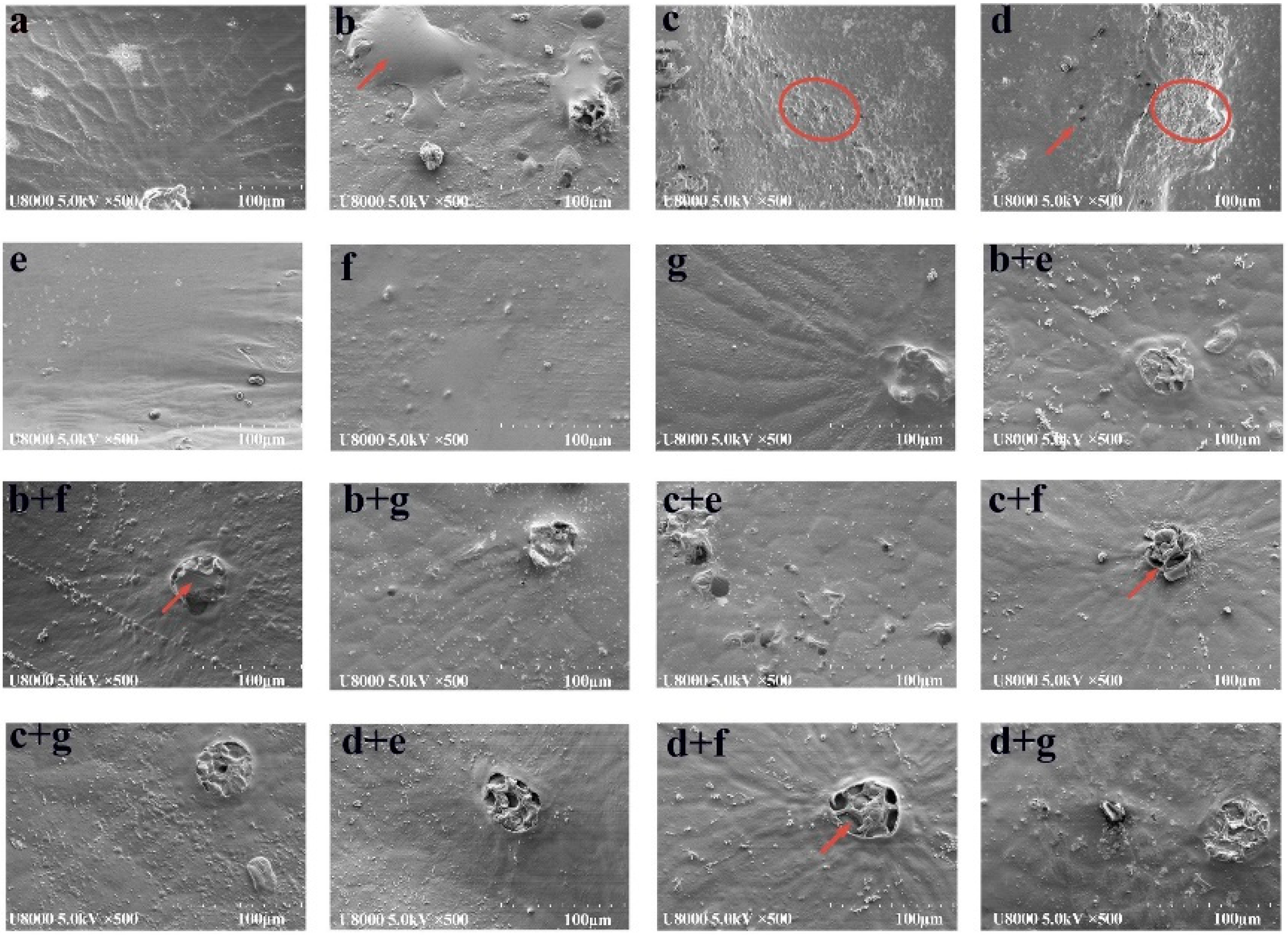 Foods 11 03675 g003 Foods 11 03675 g003