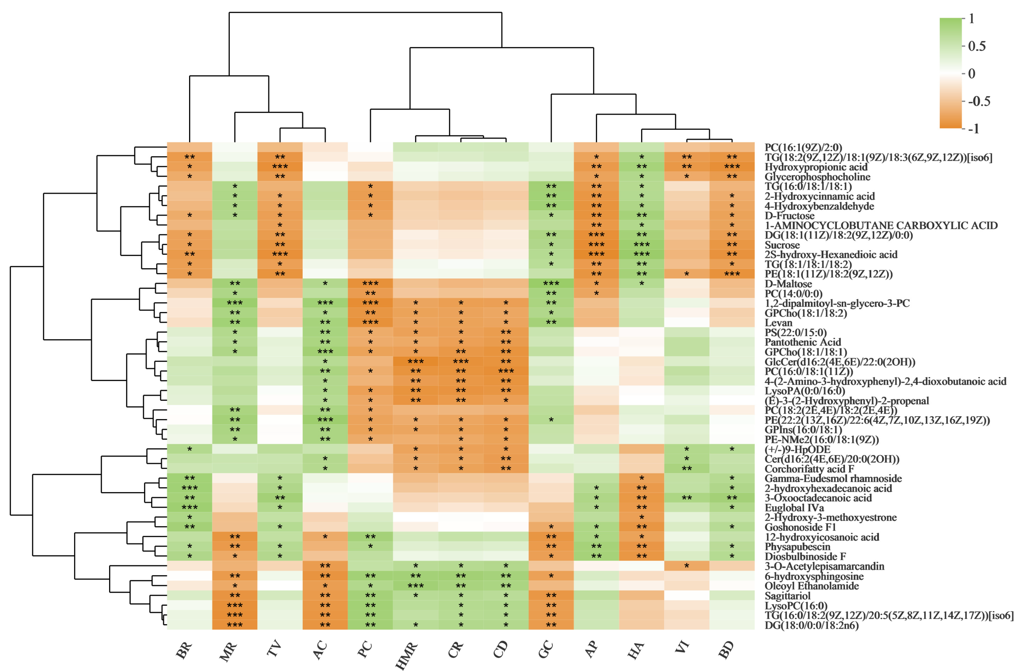 Foods 11 03676 g004 Foods 11 03676 g004