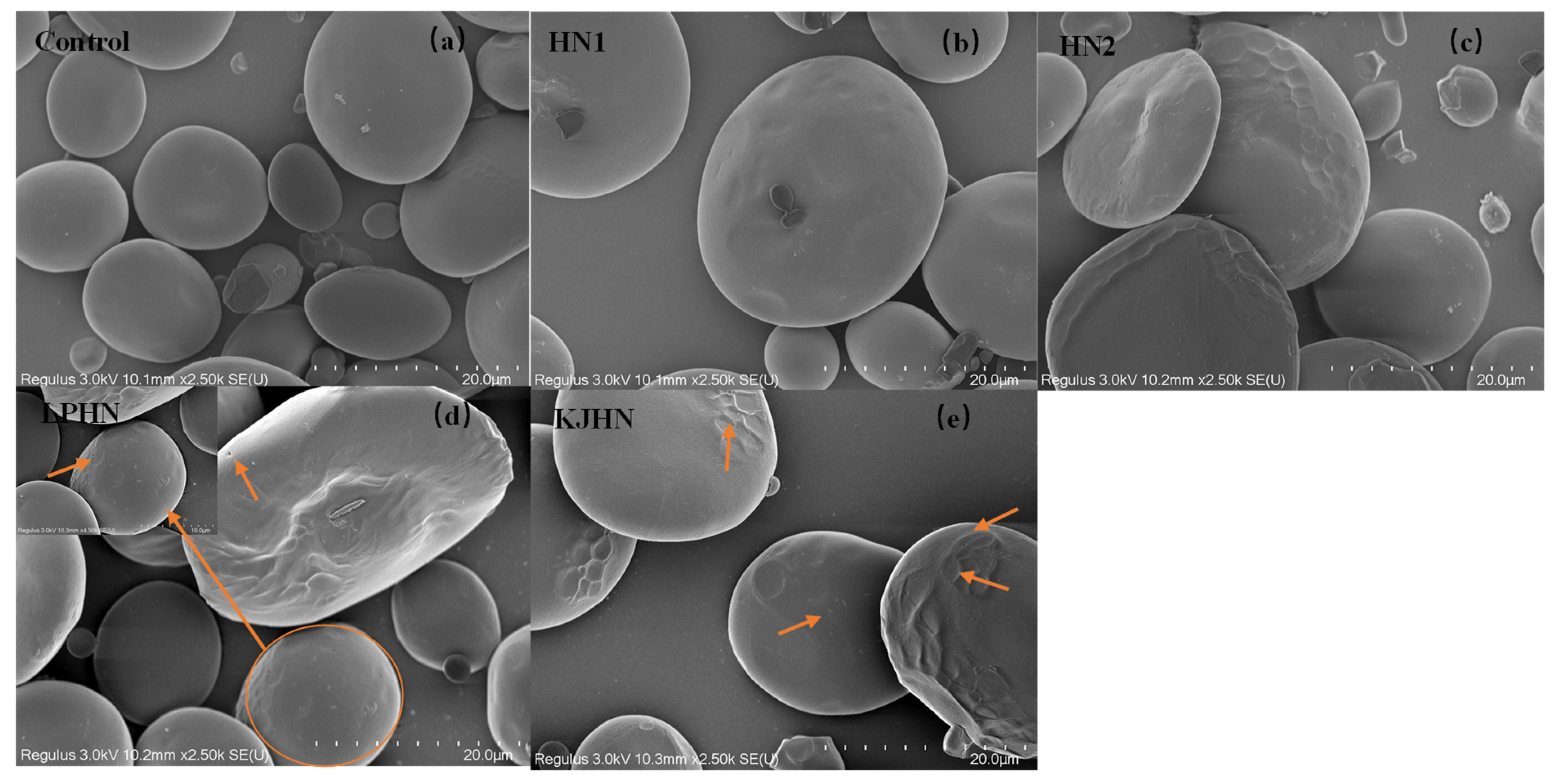 Foods 11 03685 g003 Foods 11 03685 g003