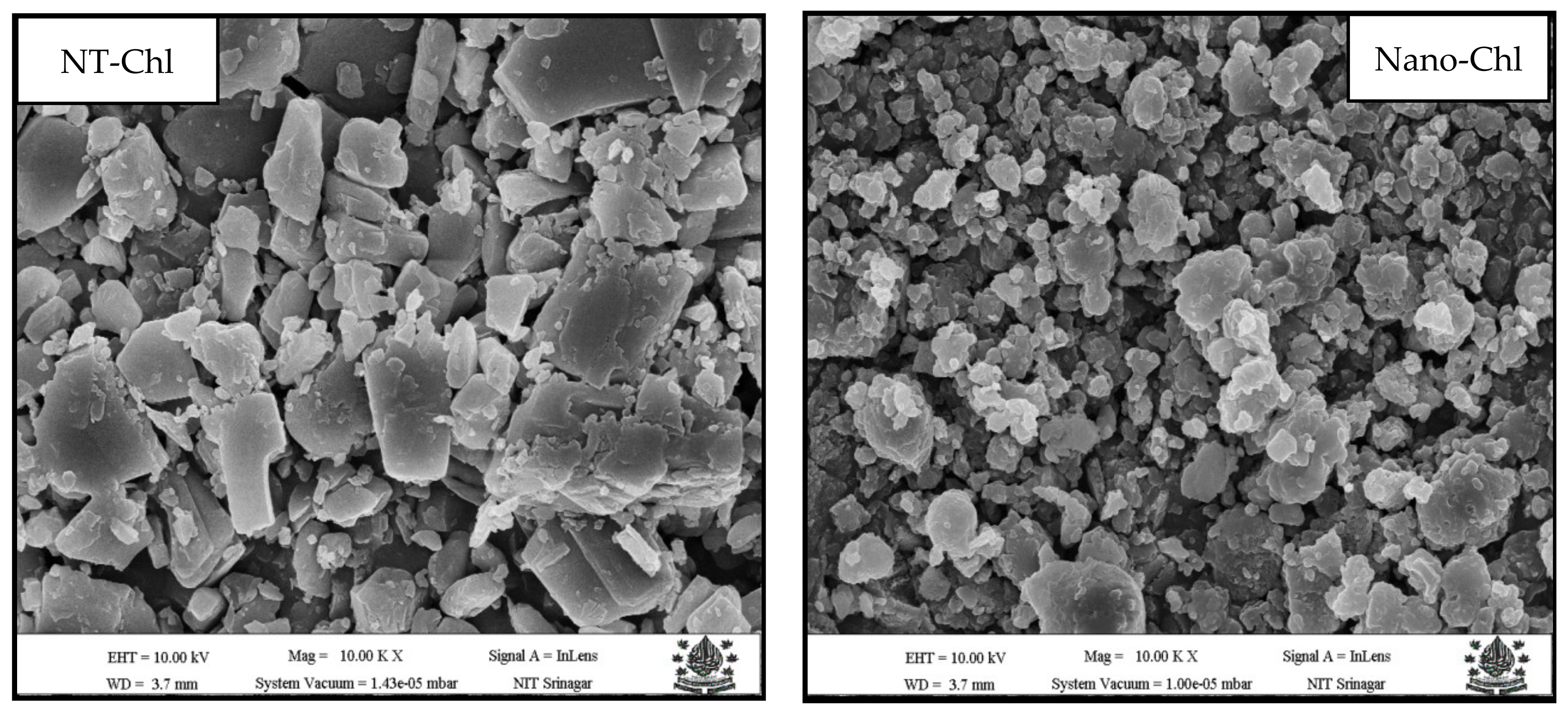 Foods 11 03702 g002 Foods 11 03702 g002