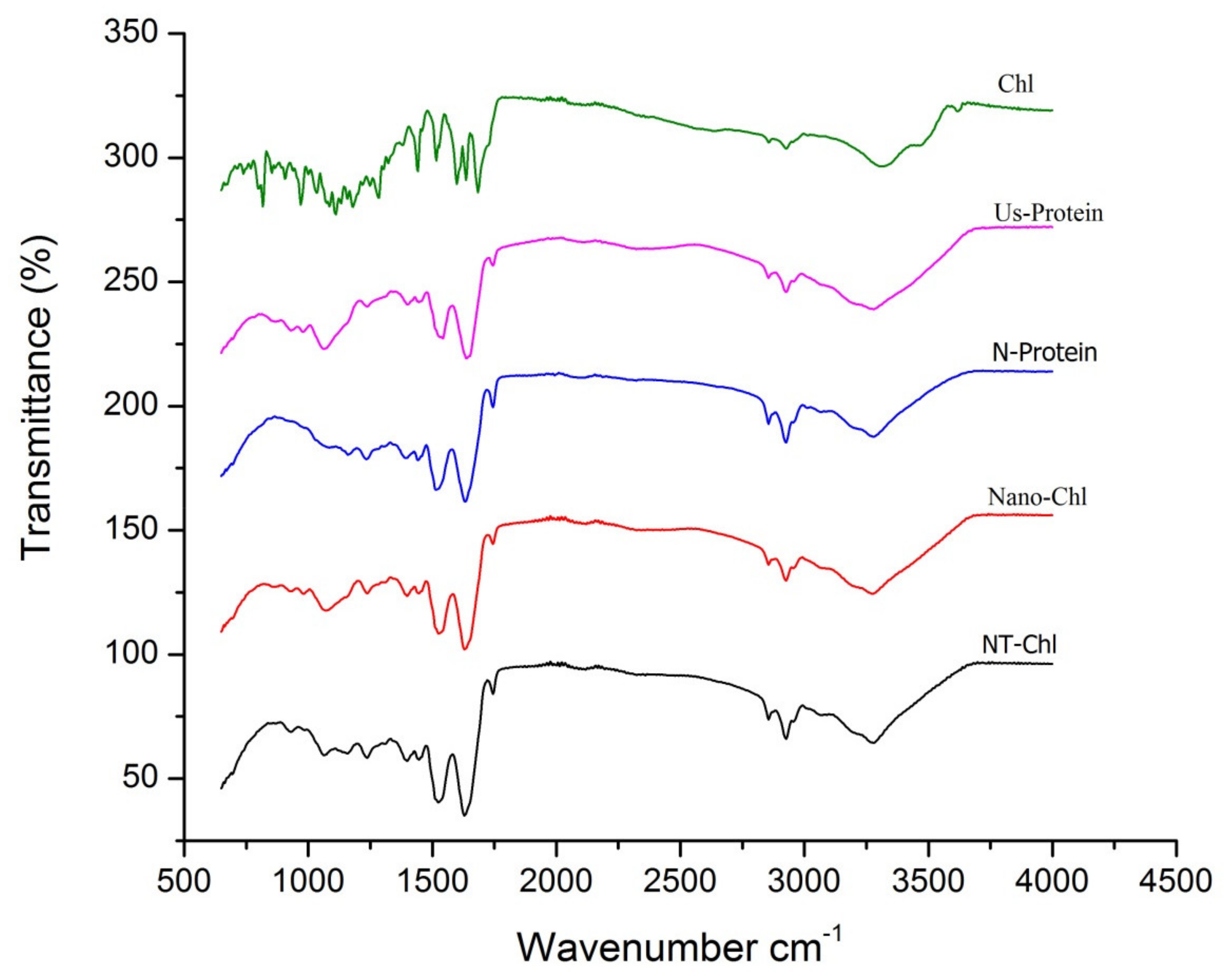 Foods 11 03702 g003 Foods 11 03702 g003