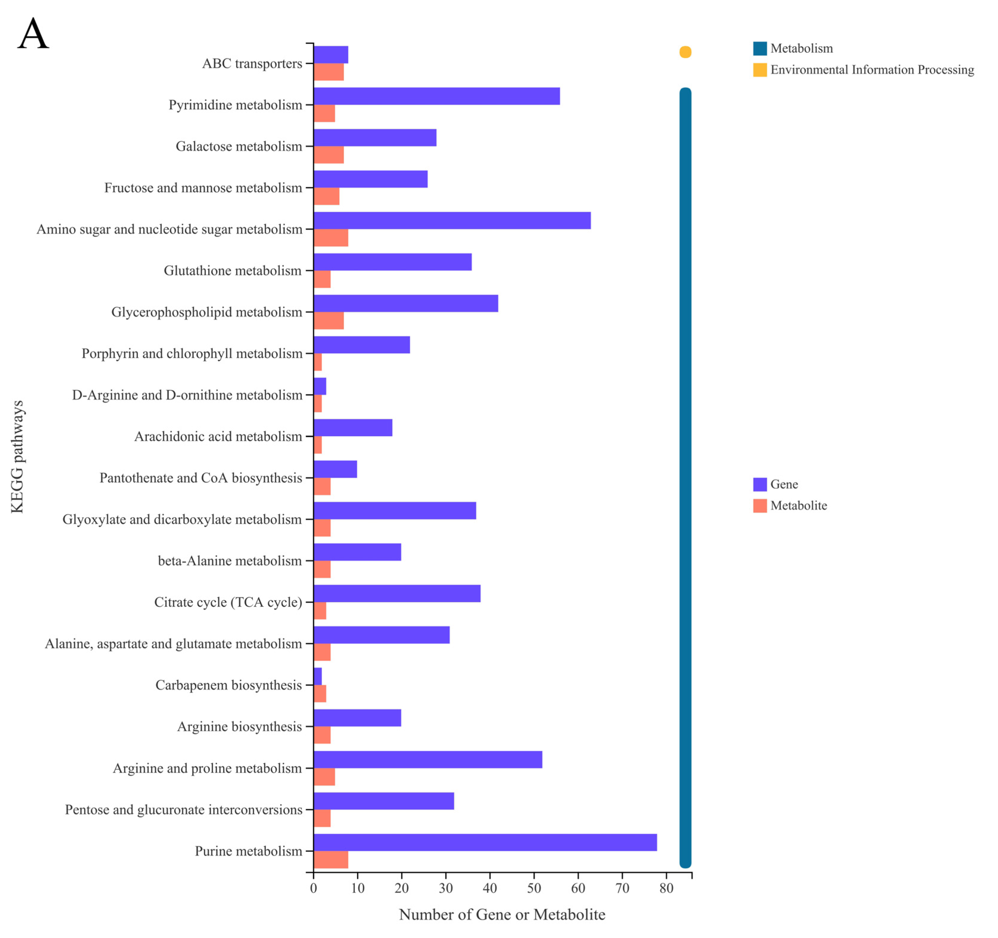 Foods 11 03706 g006a Foods 11 03706 g006a