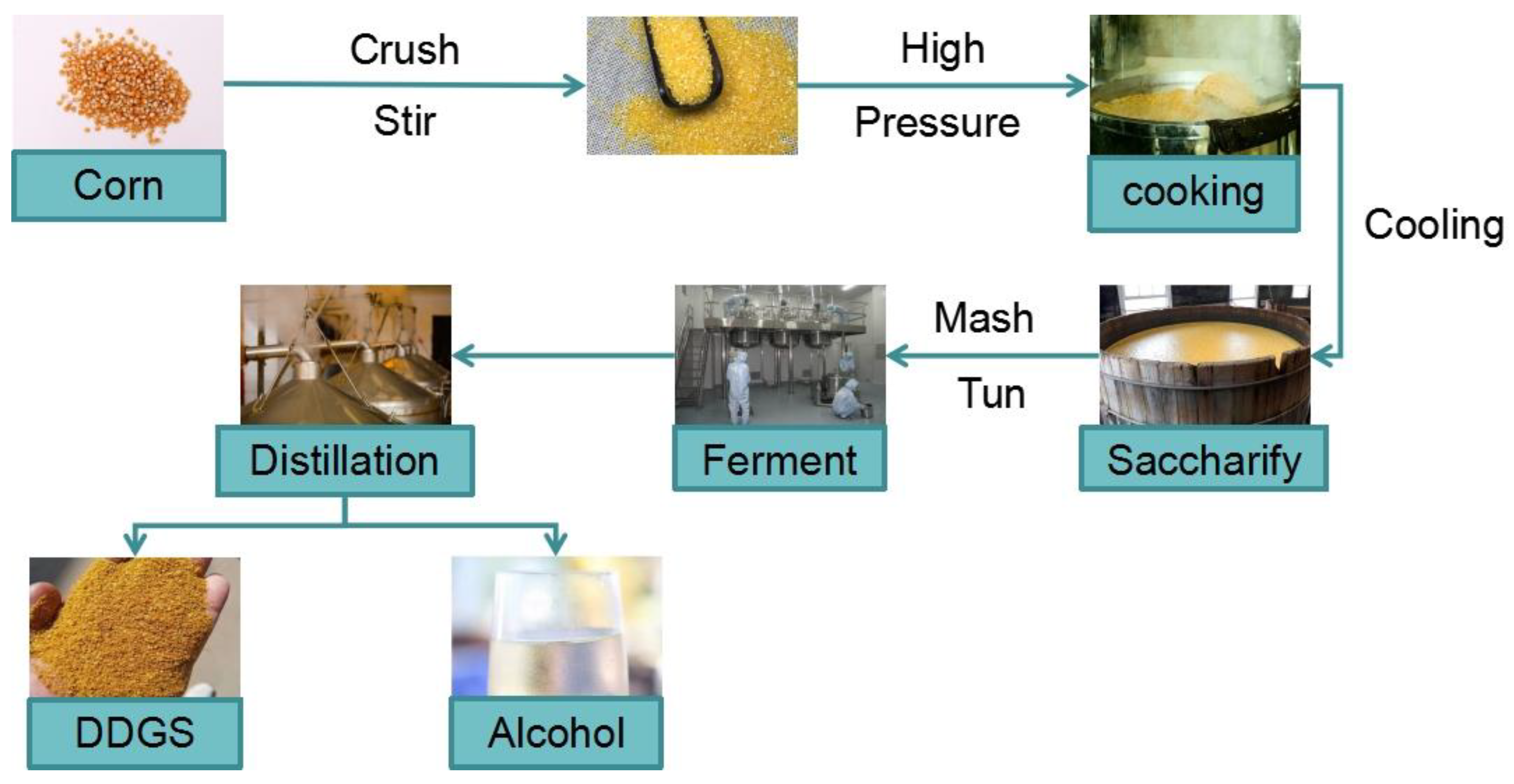 Foods Free FullText Development and Utilization of Corn Processing