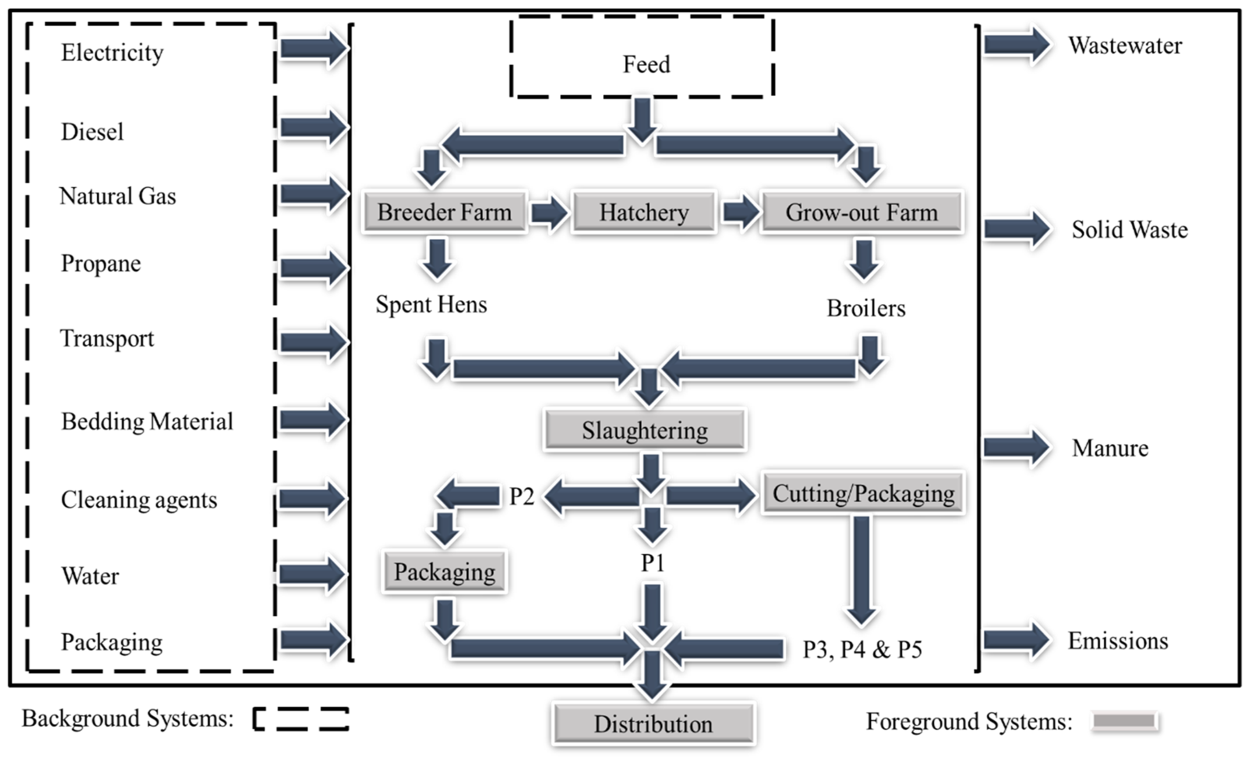 Foods 11 03712 g001 Foods 11 03712 g001