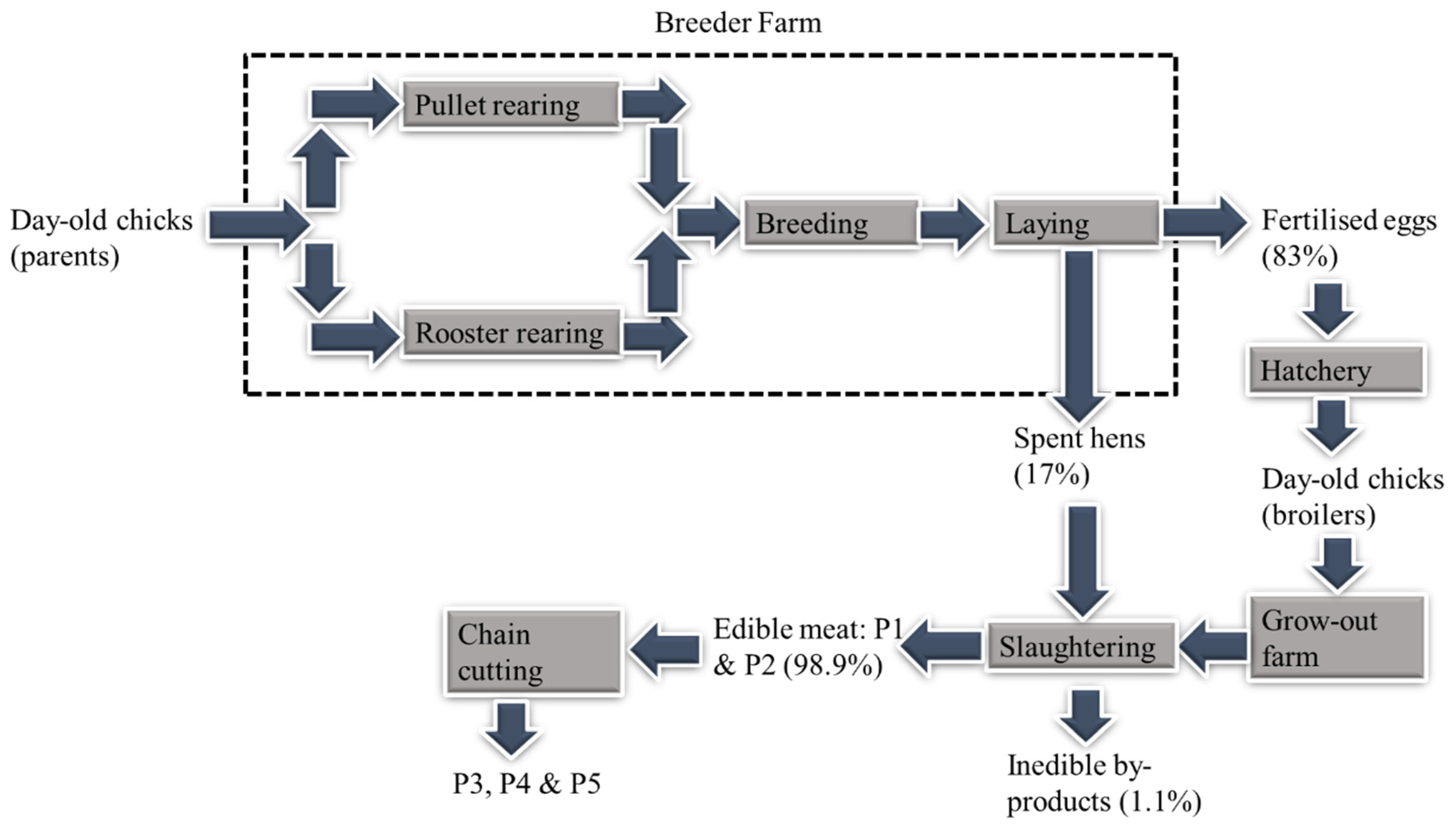 Foods 11 03712 g002 Foods 11 03712 g002