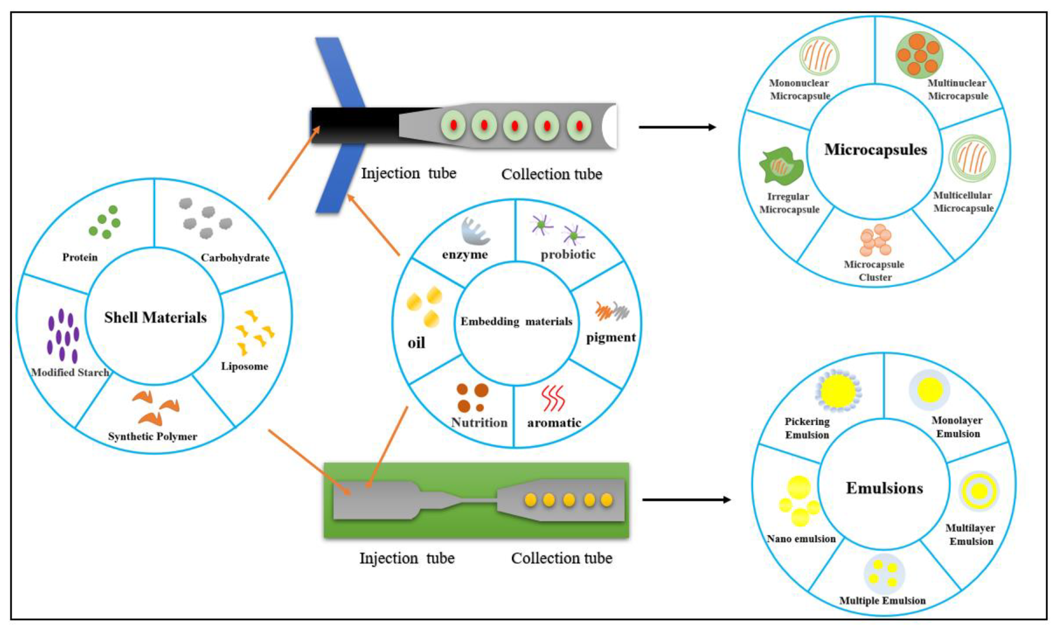Foods 11 03727 g004 Foods 11 03727 g004