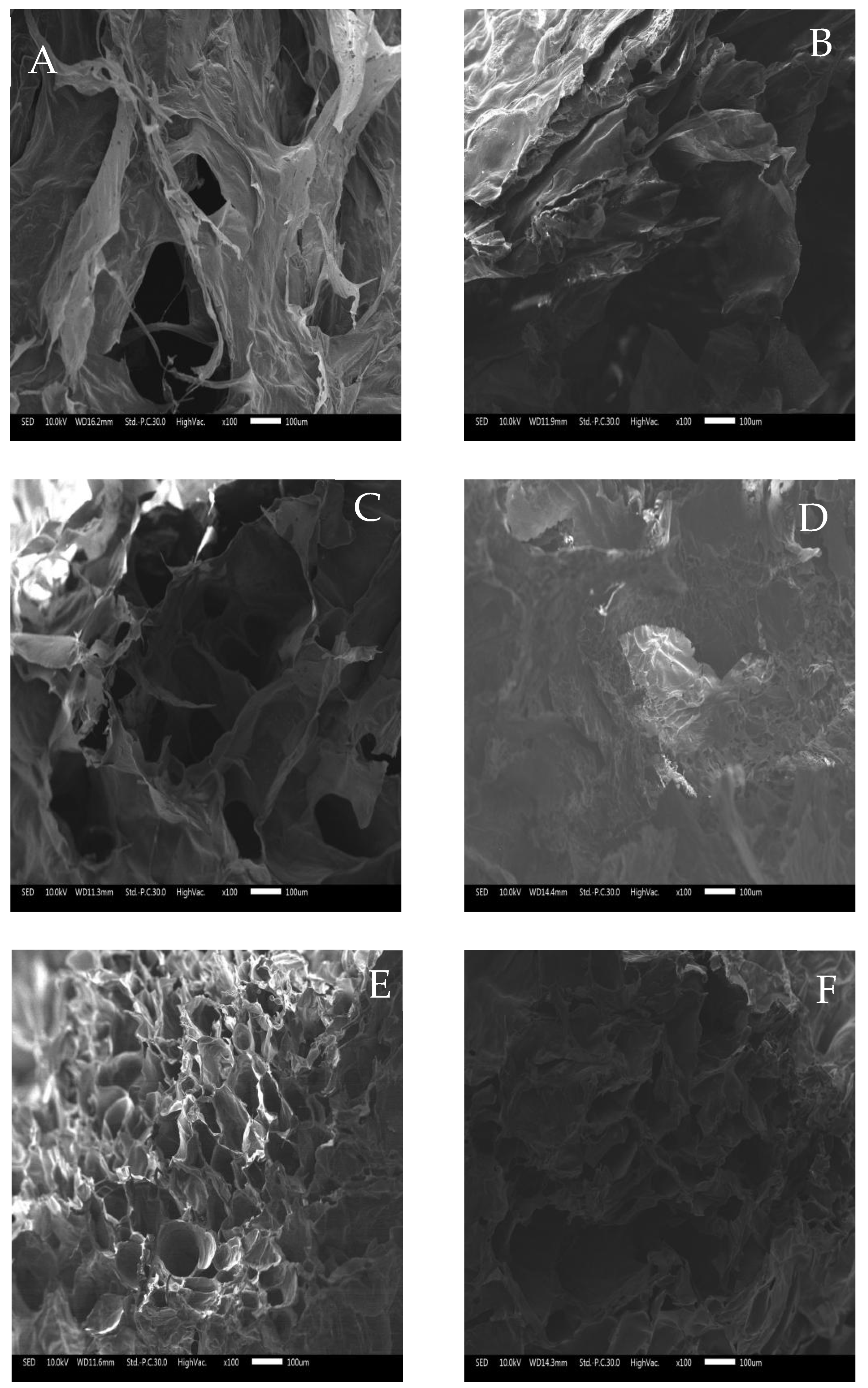 Foods 11 03729 g005 Foods 11 03729 g005