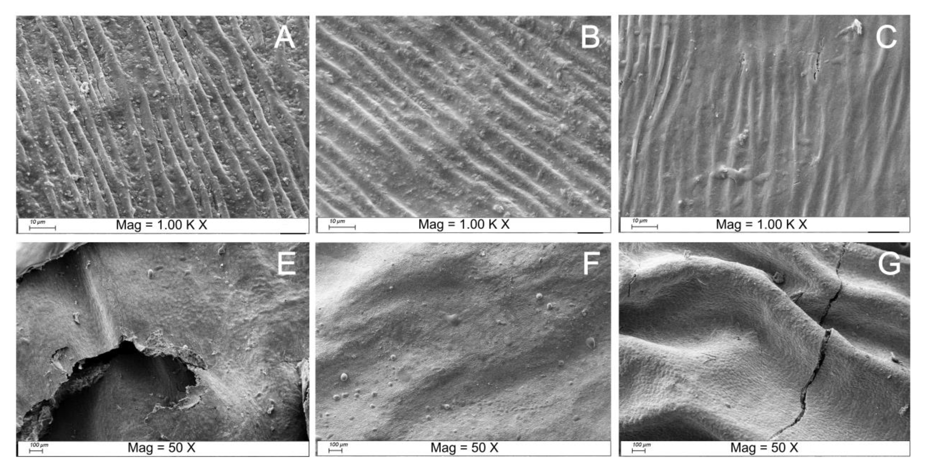 Foods 11 03731 g002 Foods 11 03731 g002