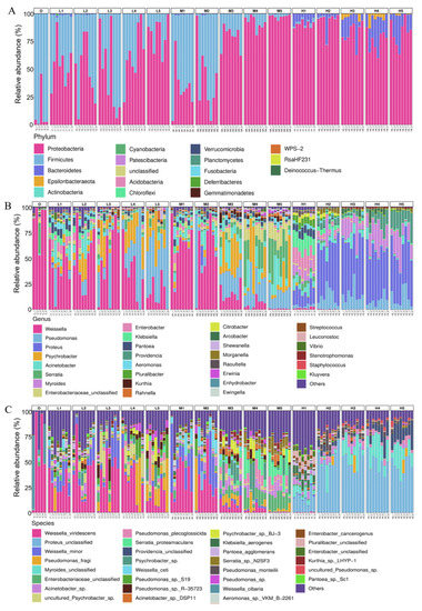 Dynamic Changes of Bacterial Communities and Microbial Association Biology Diagrams
