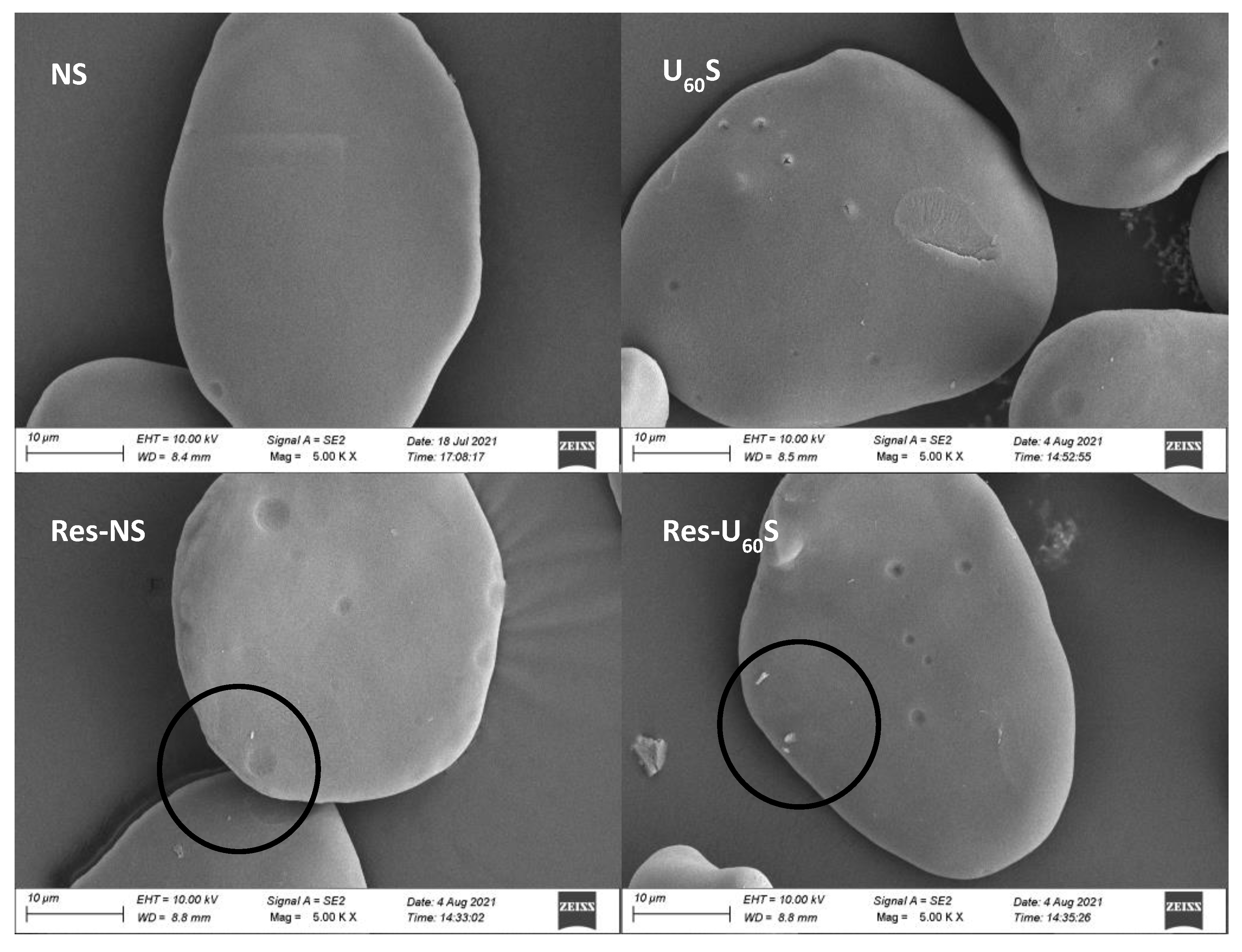 Foods 11 03741 g007 Foods 11 03741 g007