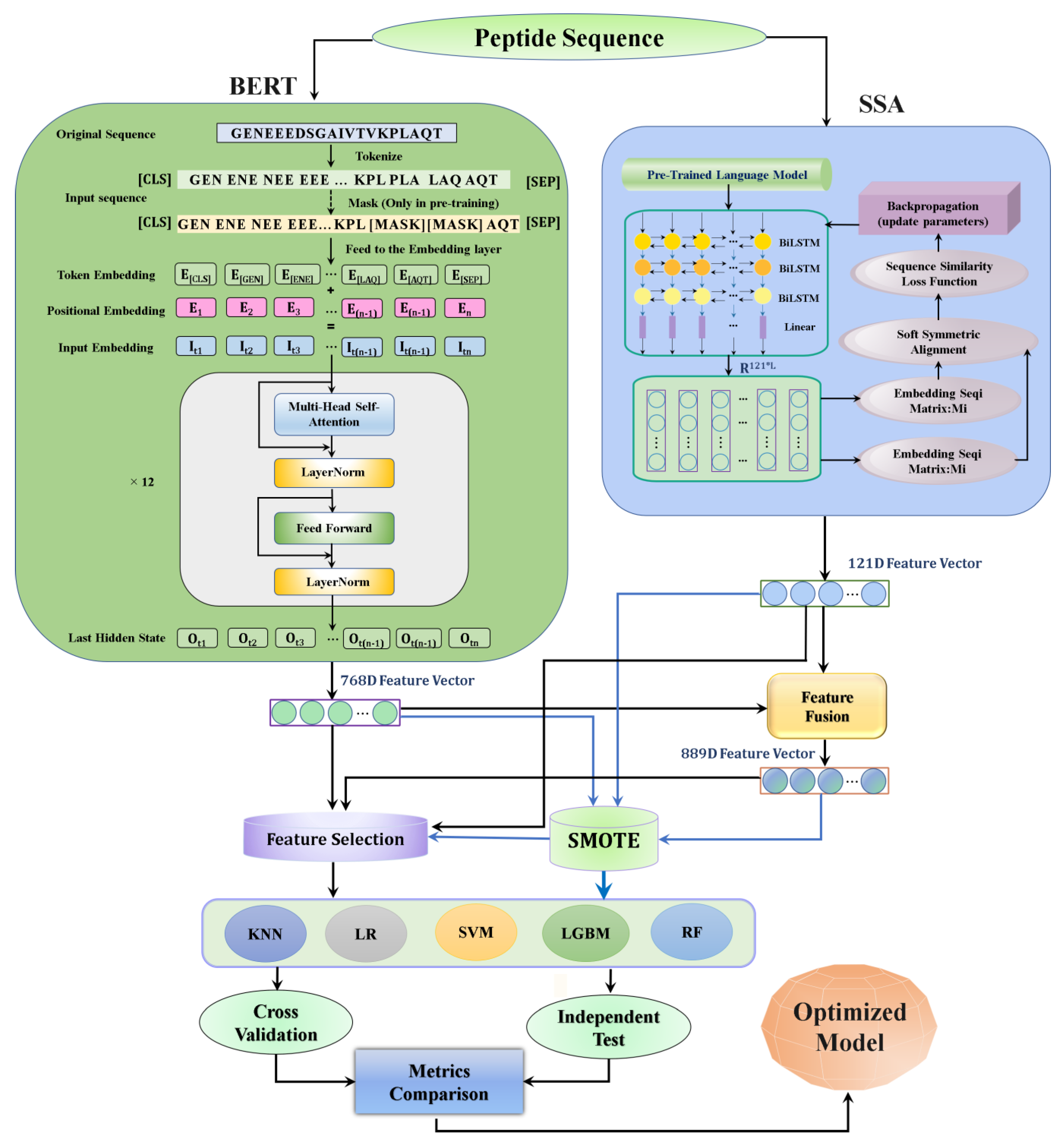 Foods 11 03742 g001 Foods 11 03742 g001
