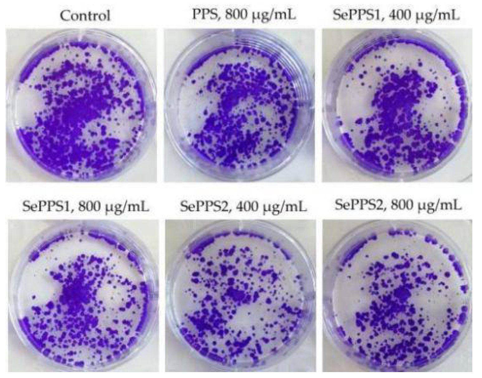 Monosaccharide Composition and In Vitro Activity to HCT-116 Monosaccharide Composition and In Vitro Activity to HCT-116