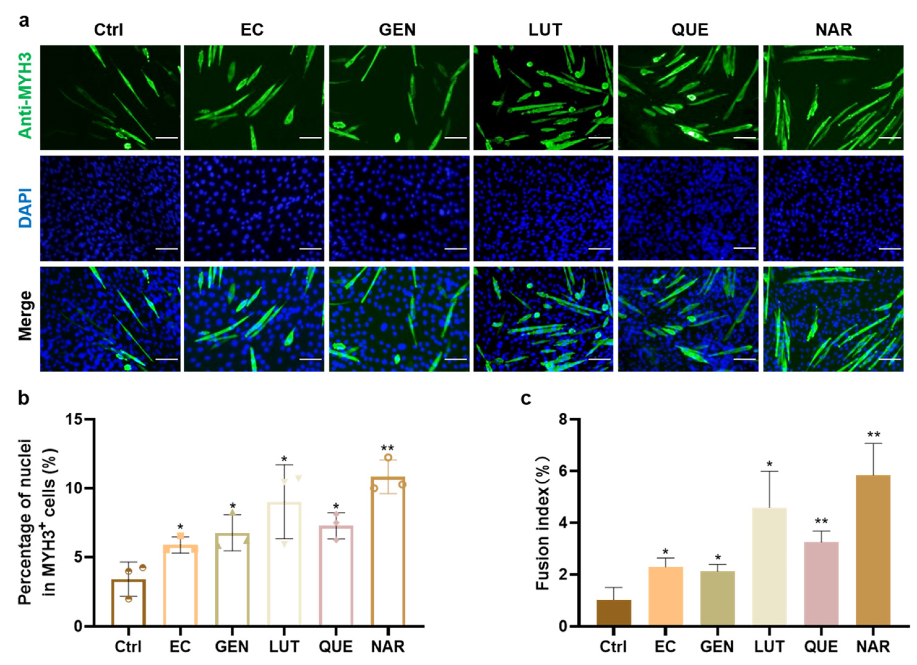 Foods 11 03755 g001 Foods 11 03755 g001