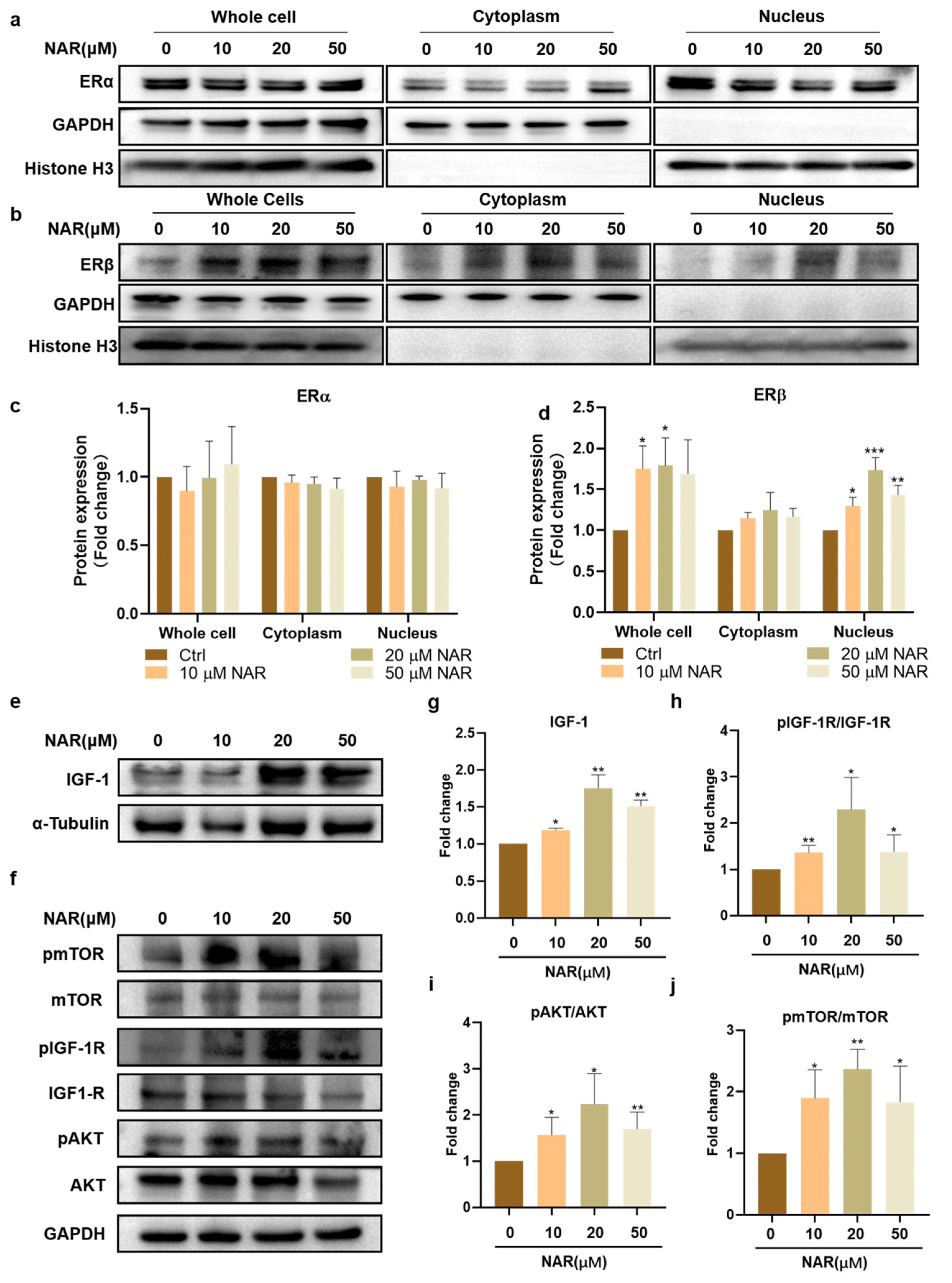 Foods 11 03755 g004 Foods 11 03755 g004