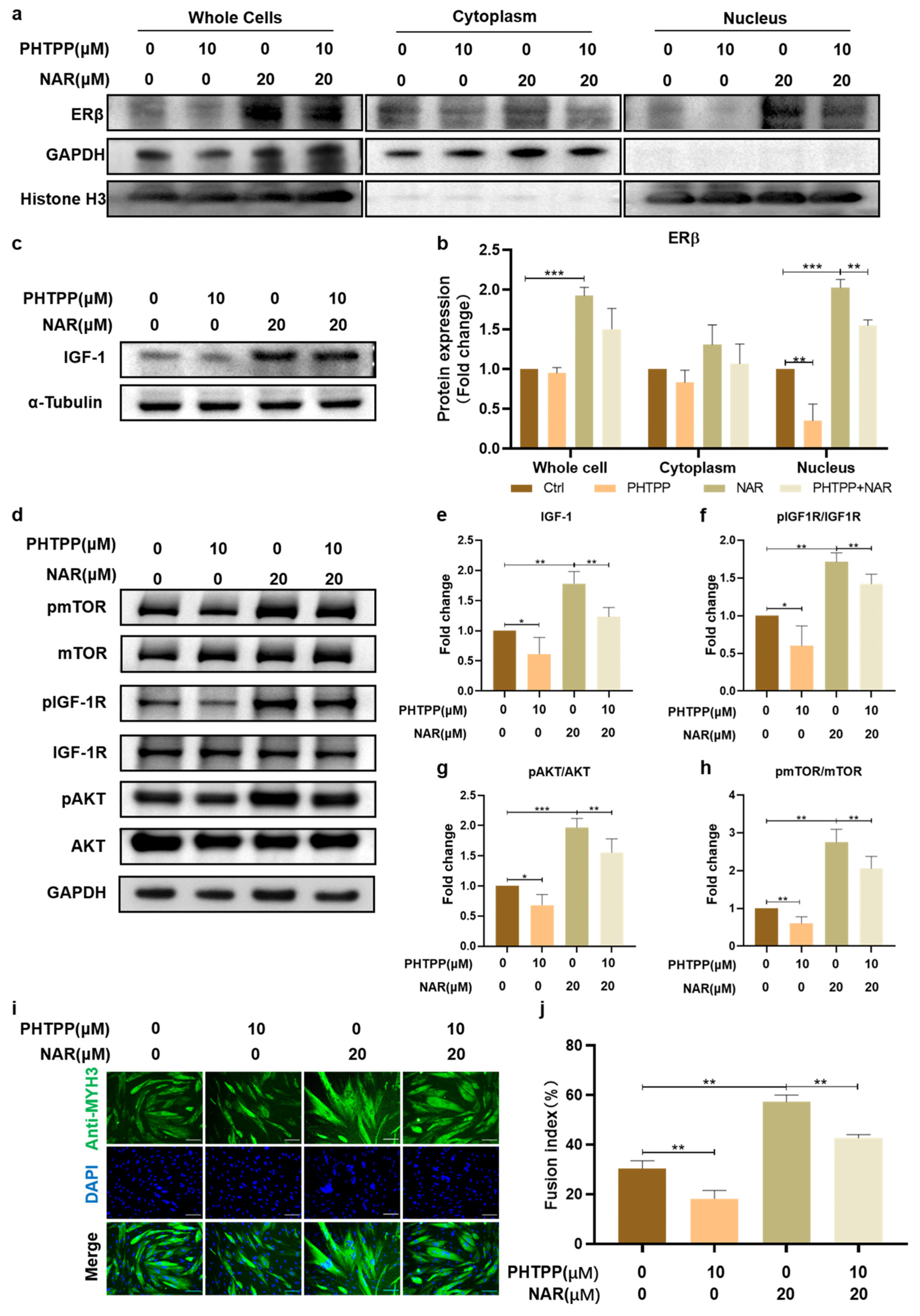Foods 11 03755 g005 Foods 11 03755 g005