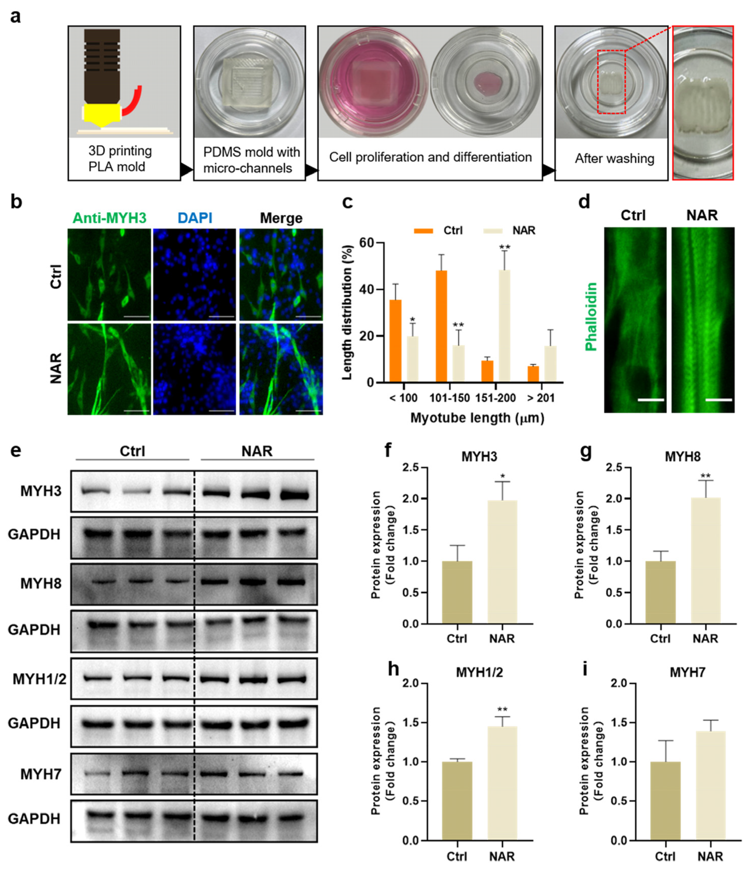 Foods 11 03755 g006 Foods 11 03755 g006