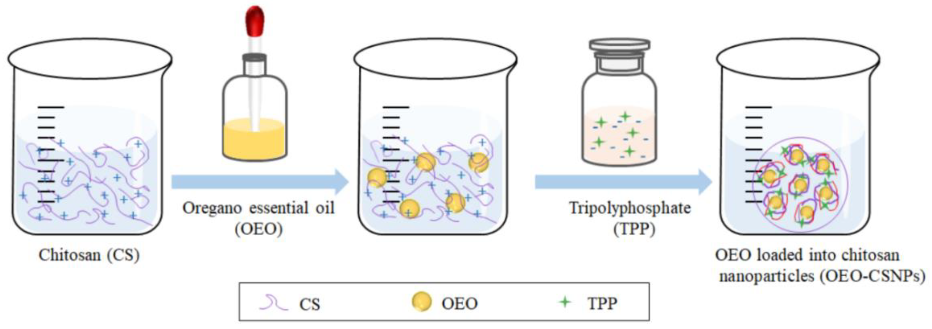 Foods 11 03756 g001 Foods 11 03756 g001