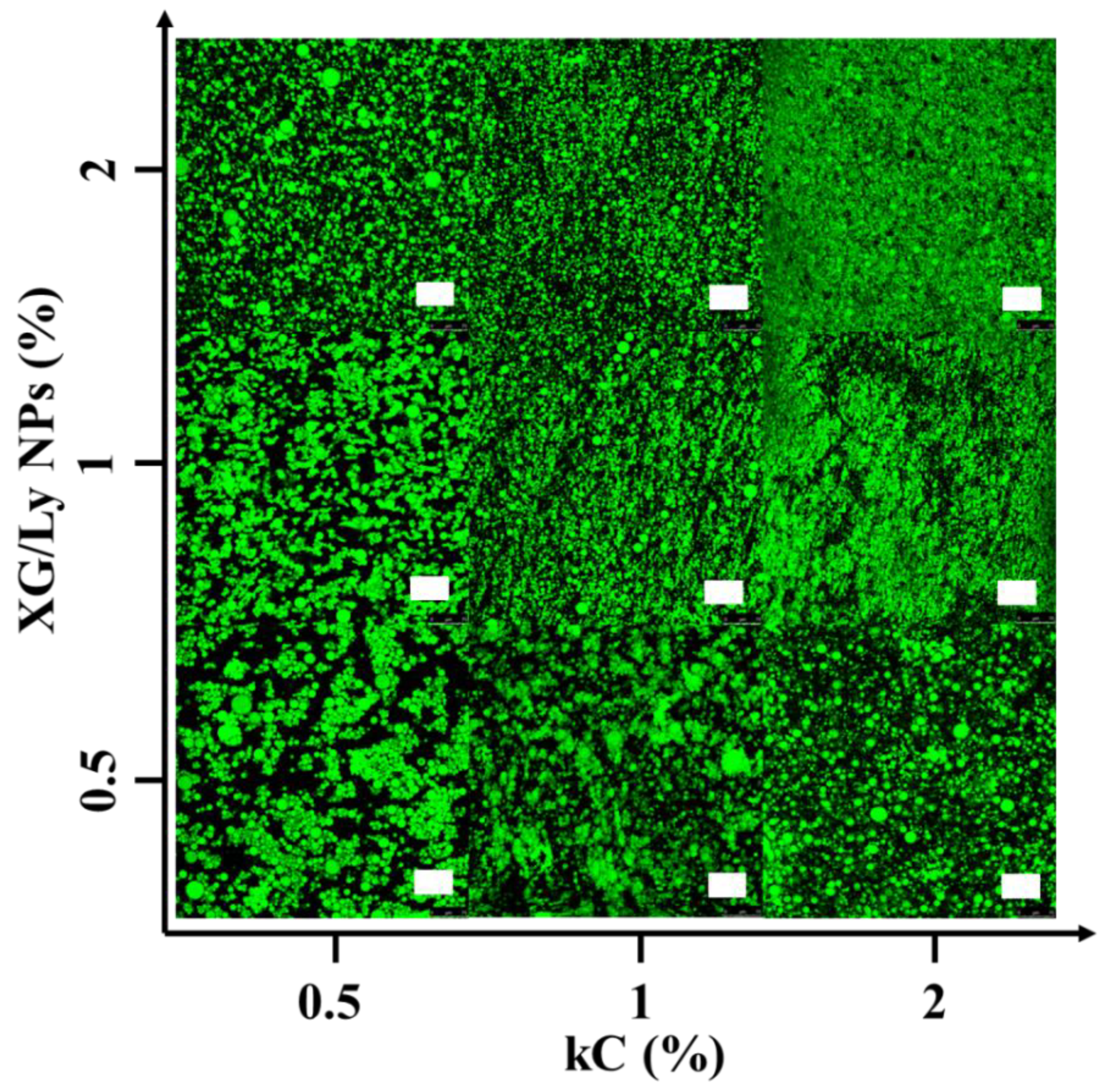Foods 11 03757 g002 Foods 11 03757 g002