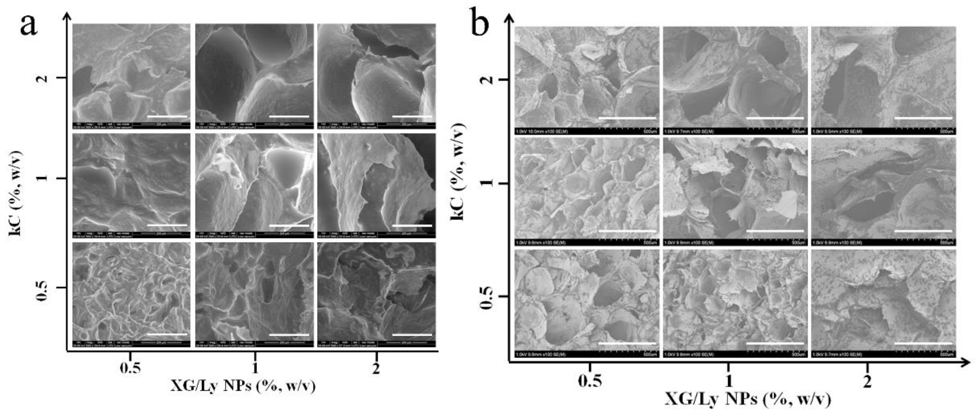 Foods 11 03757 g003 Foods 11 03757 g003
