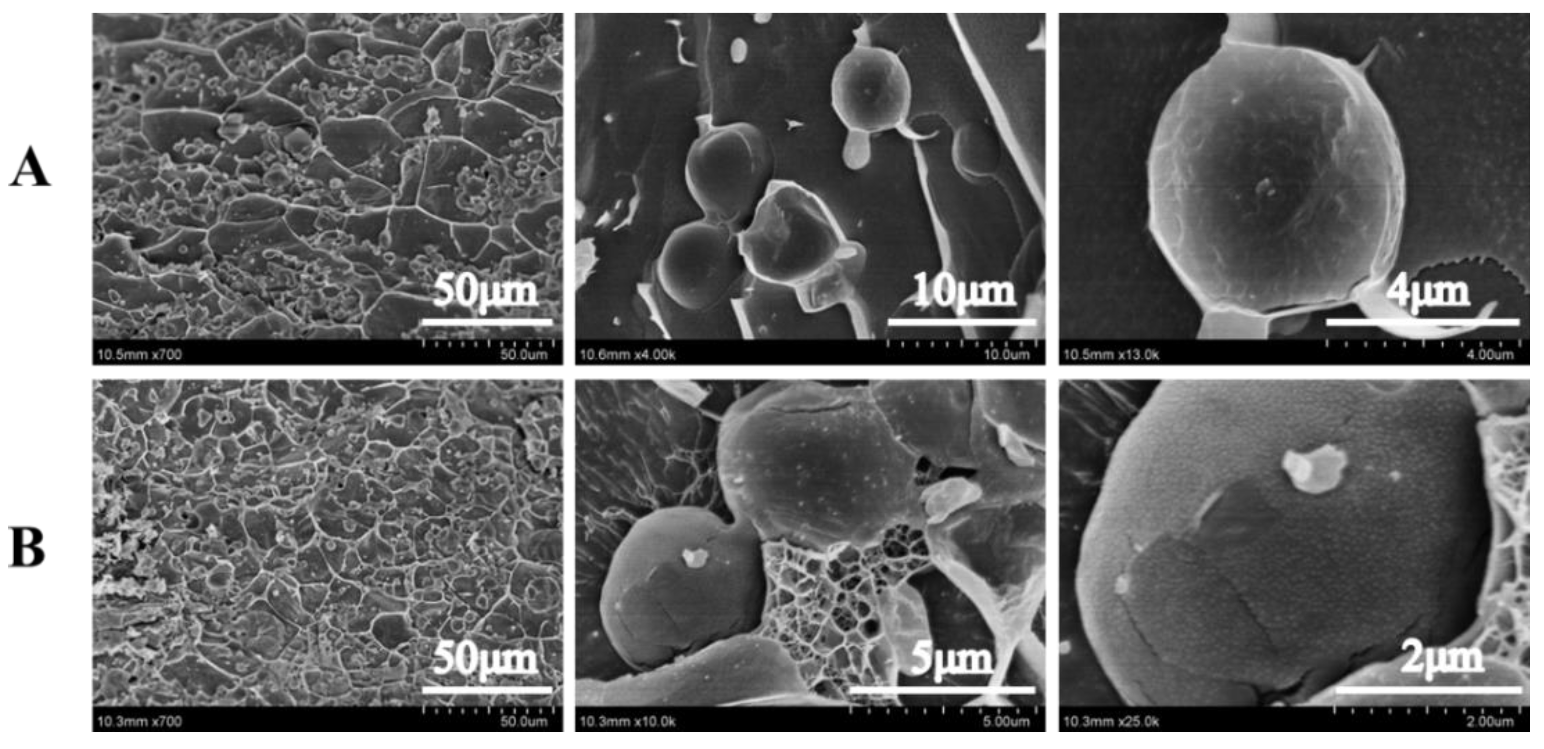 Foods 11 03757 g004 Foods 11 03757 g004