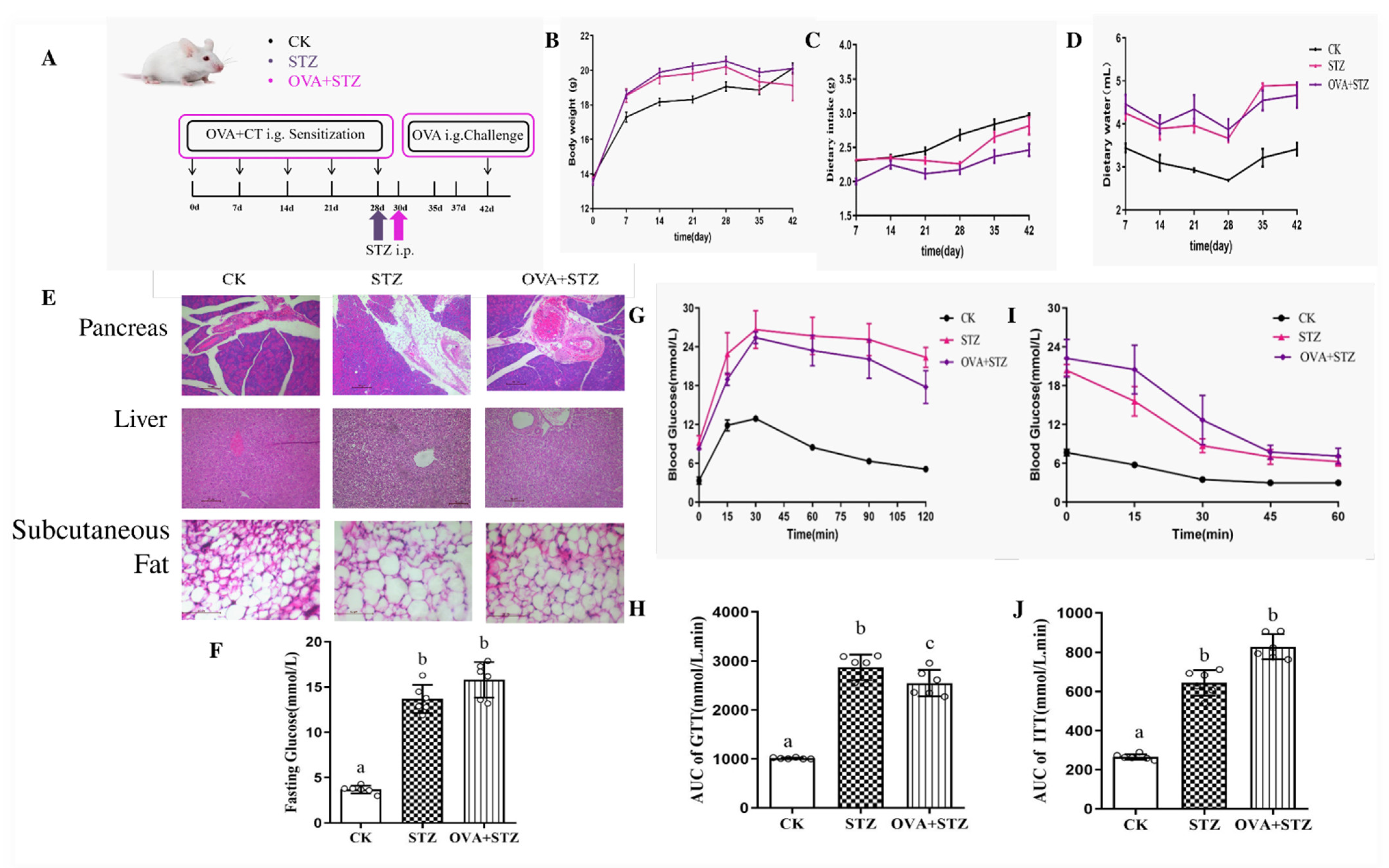 Foods 11 03758 g002 Foods 11 03758 g002