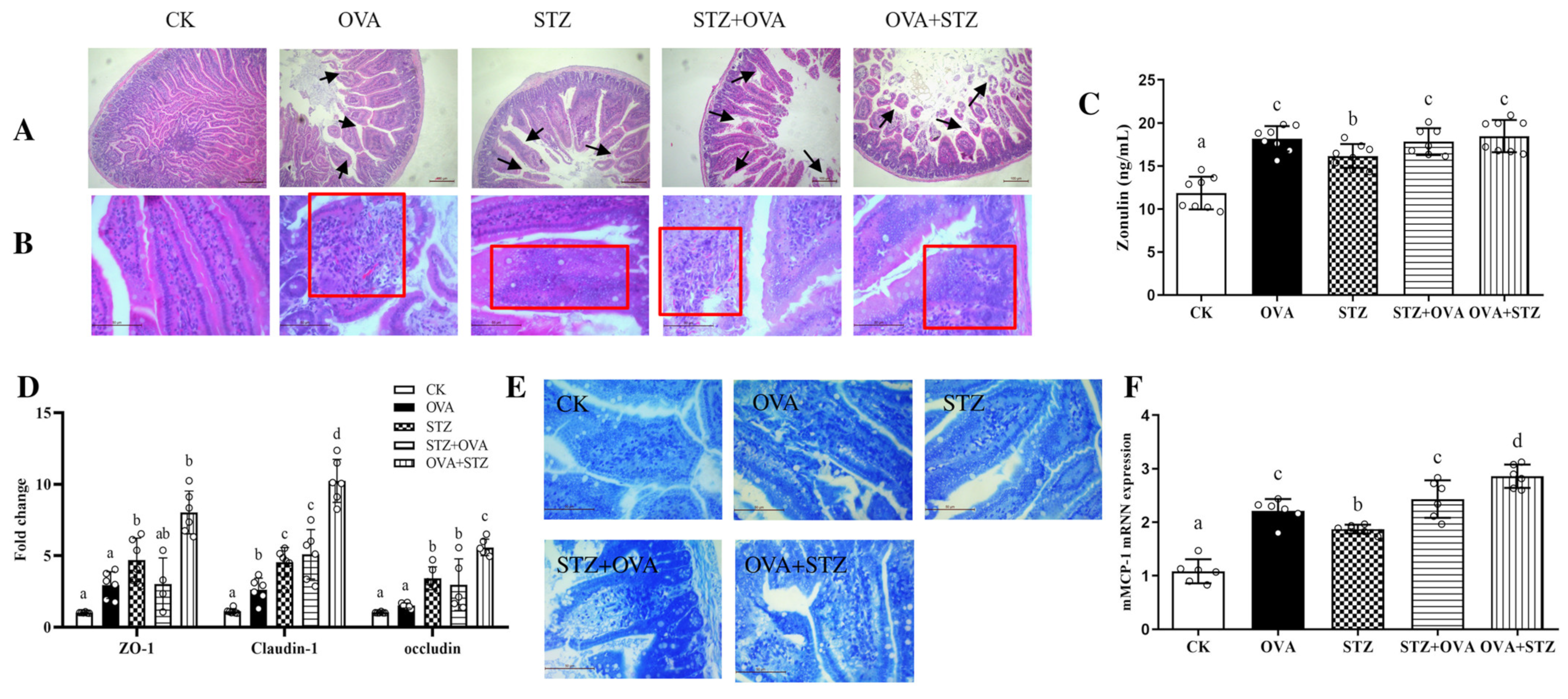 Foods 11 03758 g005 Foods 11 03758 g005