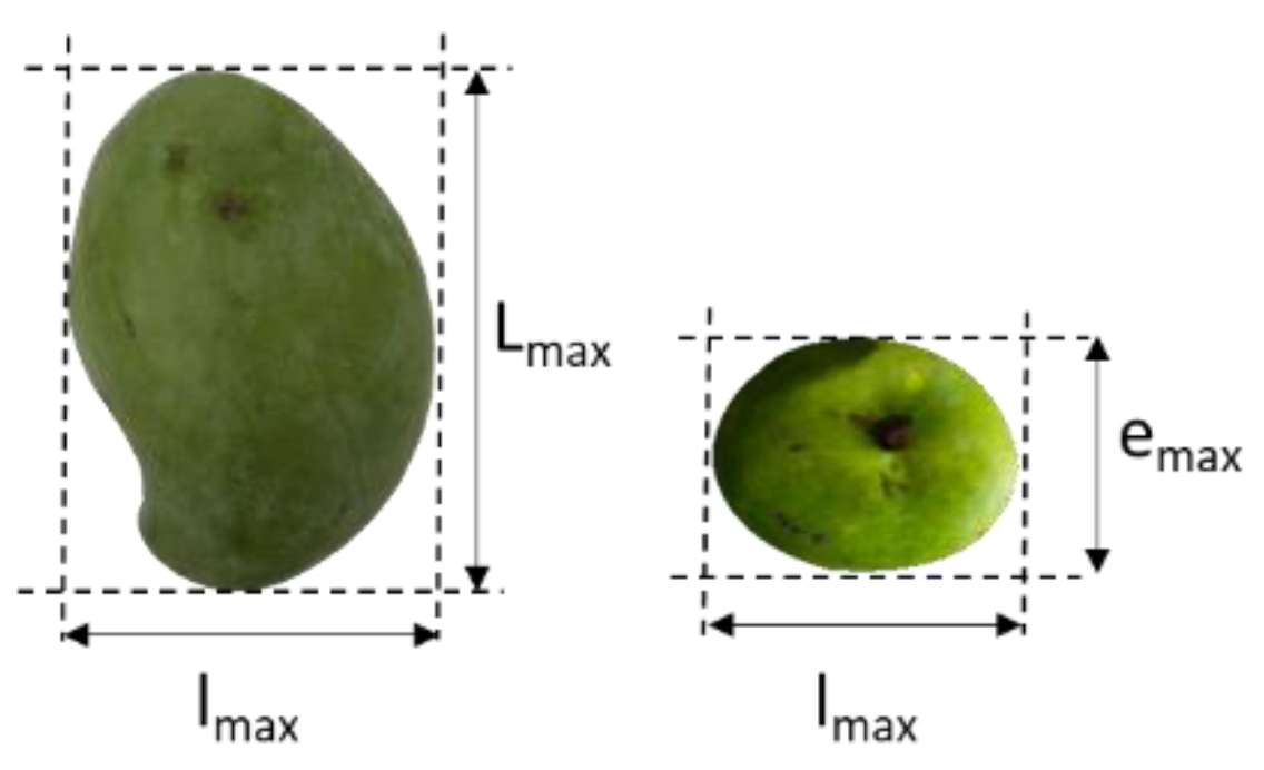 Foods 11 03759 g001 Foods 11 03759 g001