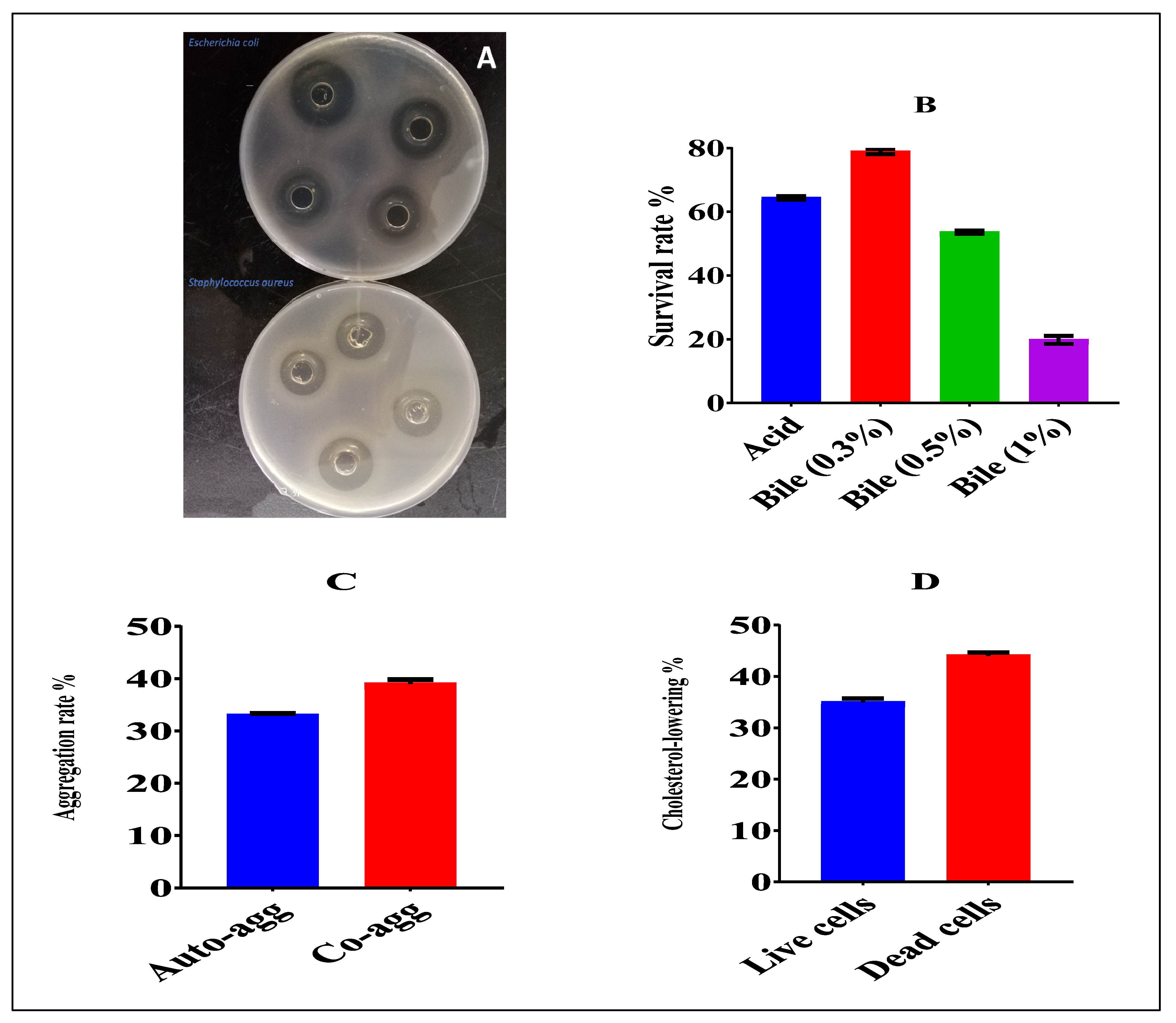 Foods 11 03766 g001 Foods 11 03766 g001