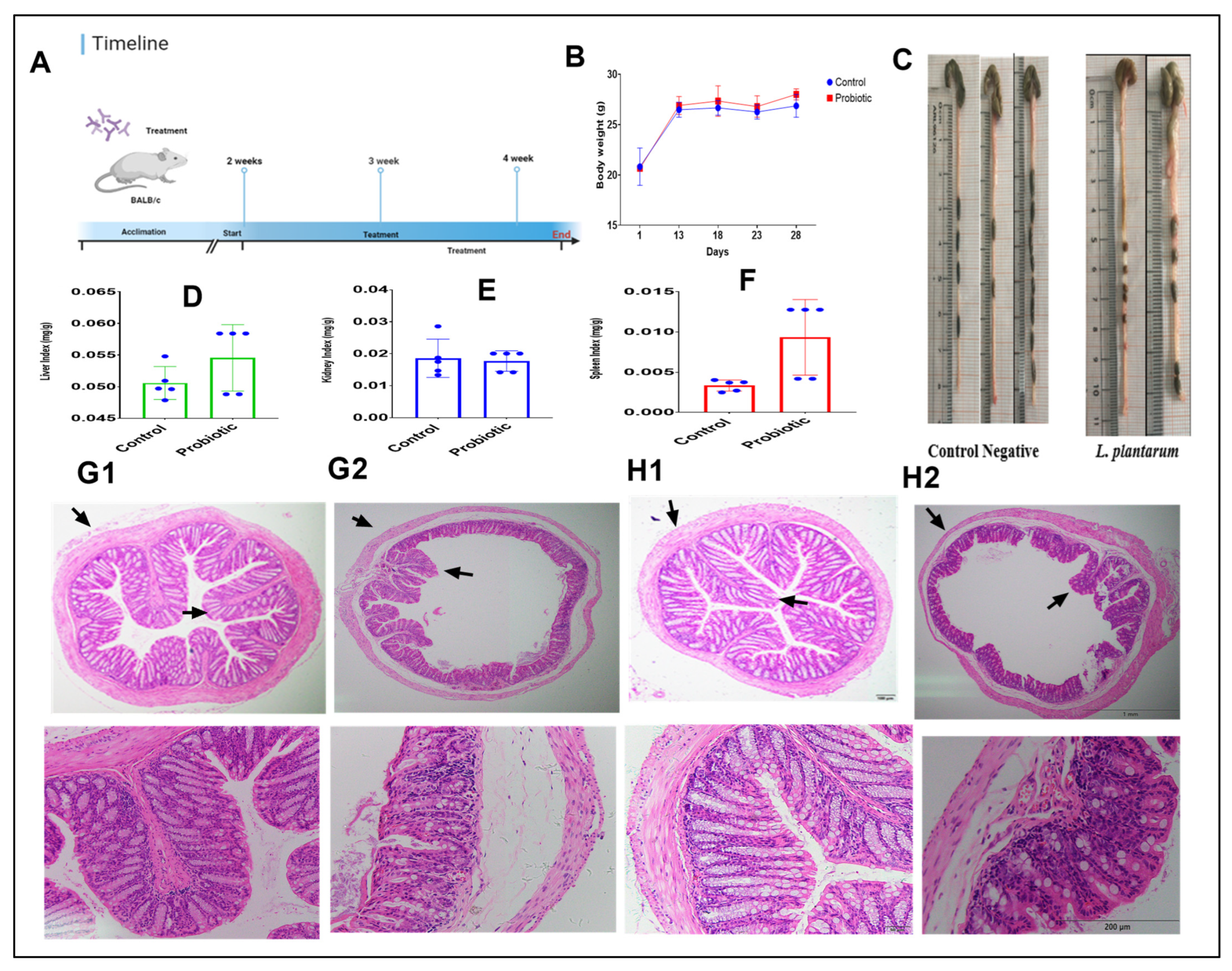 Foods 11 03766 g003 Foods 11 03766 g003