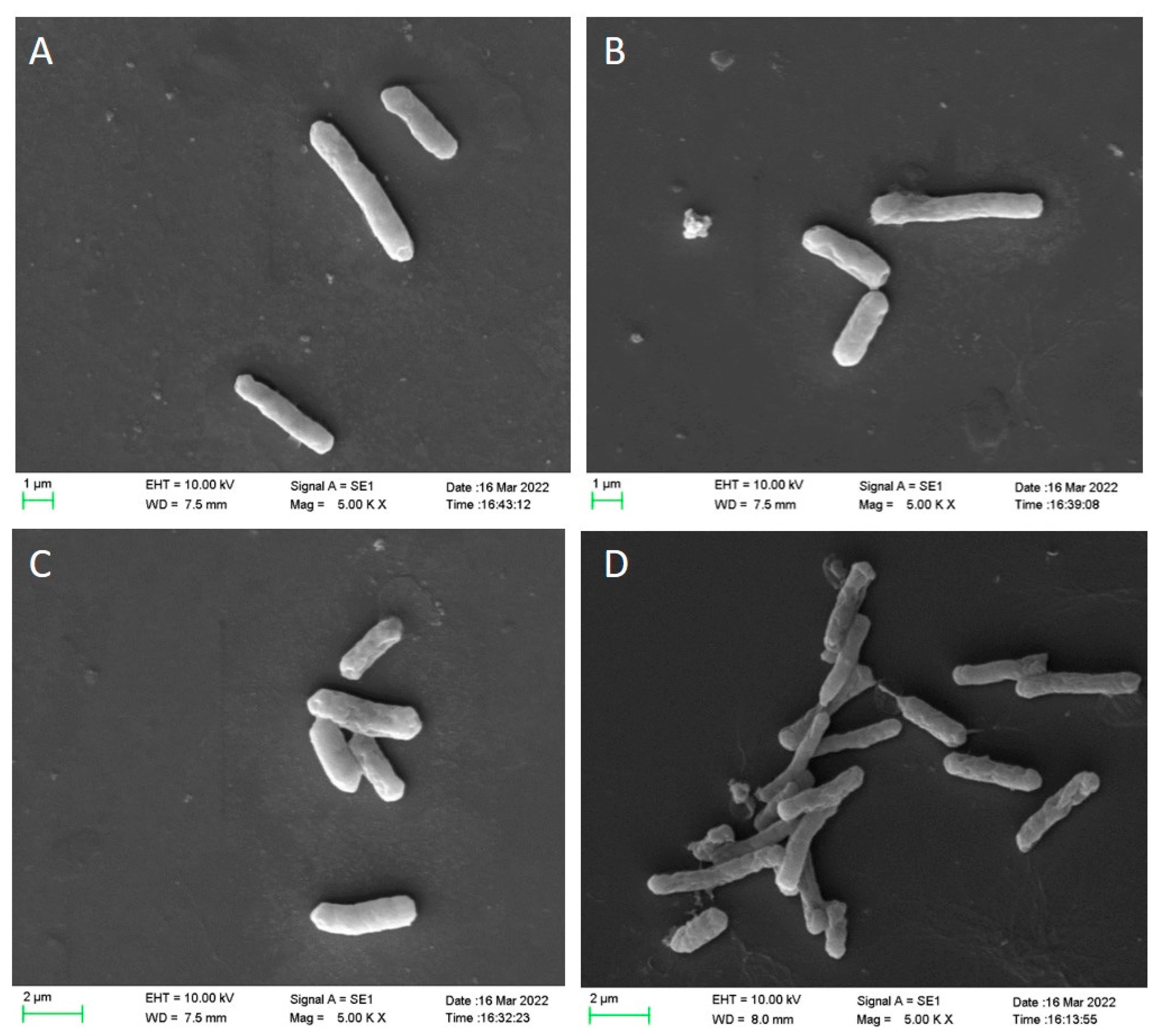 Foods 11 03771 g002 Foods 11 03771 g002