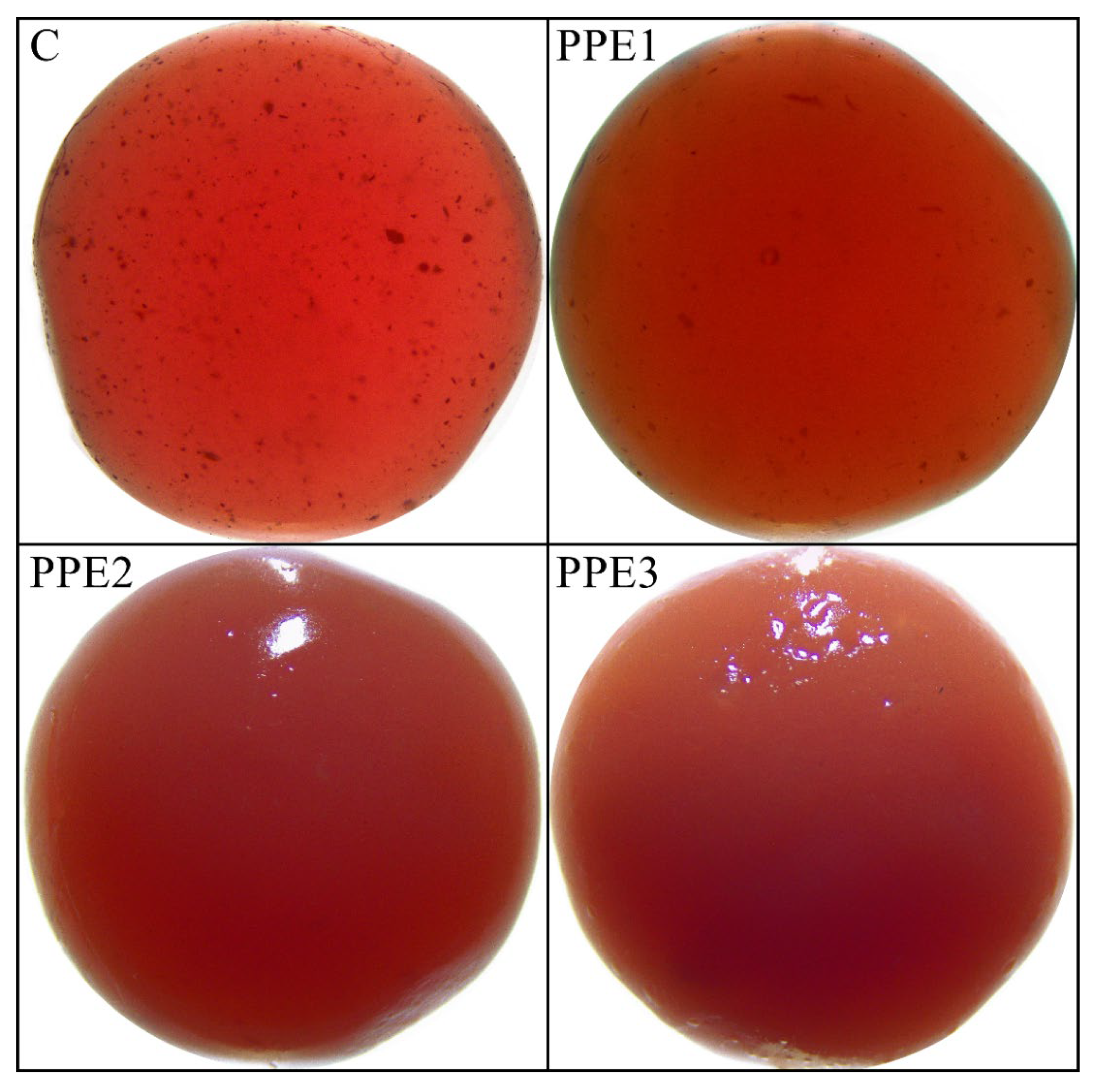 Foods 11 03785 g003 Foods 11 03785 g003