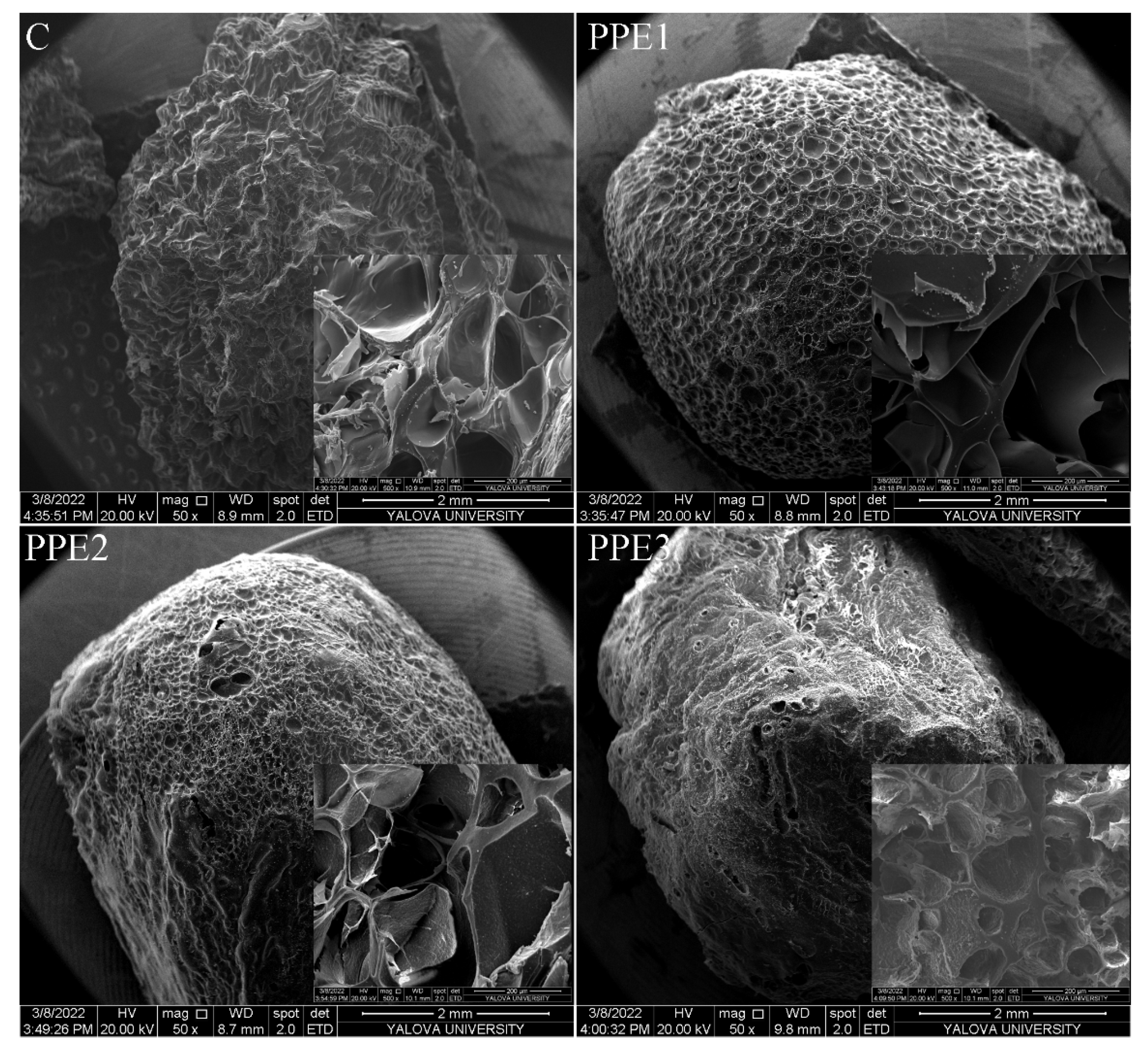 Foods 11 03785 g005 Foods 11 03785 g005