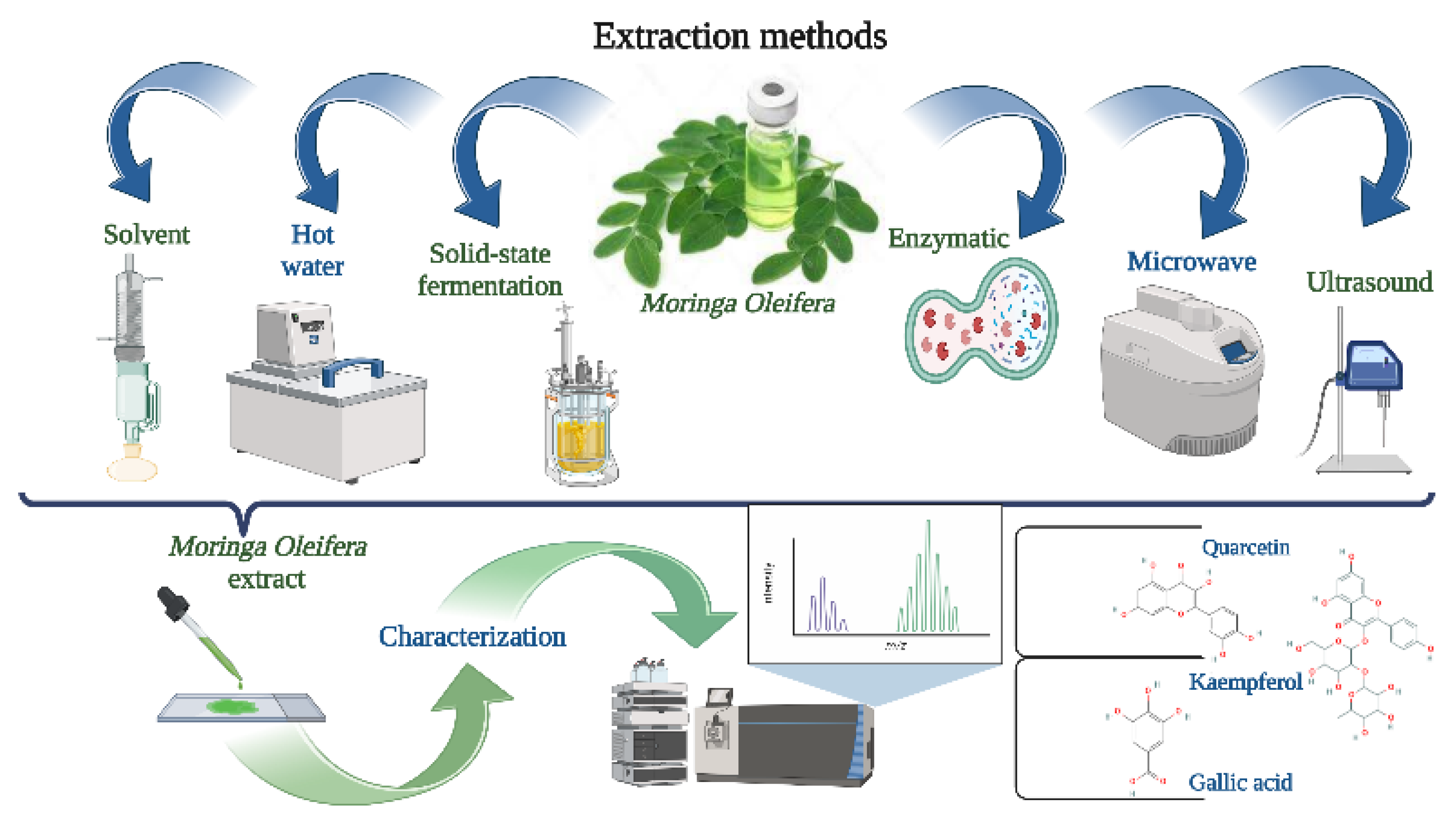 Foods 11 03787 g002 Foods 11 03787 g002